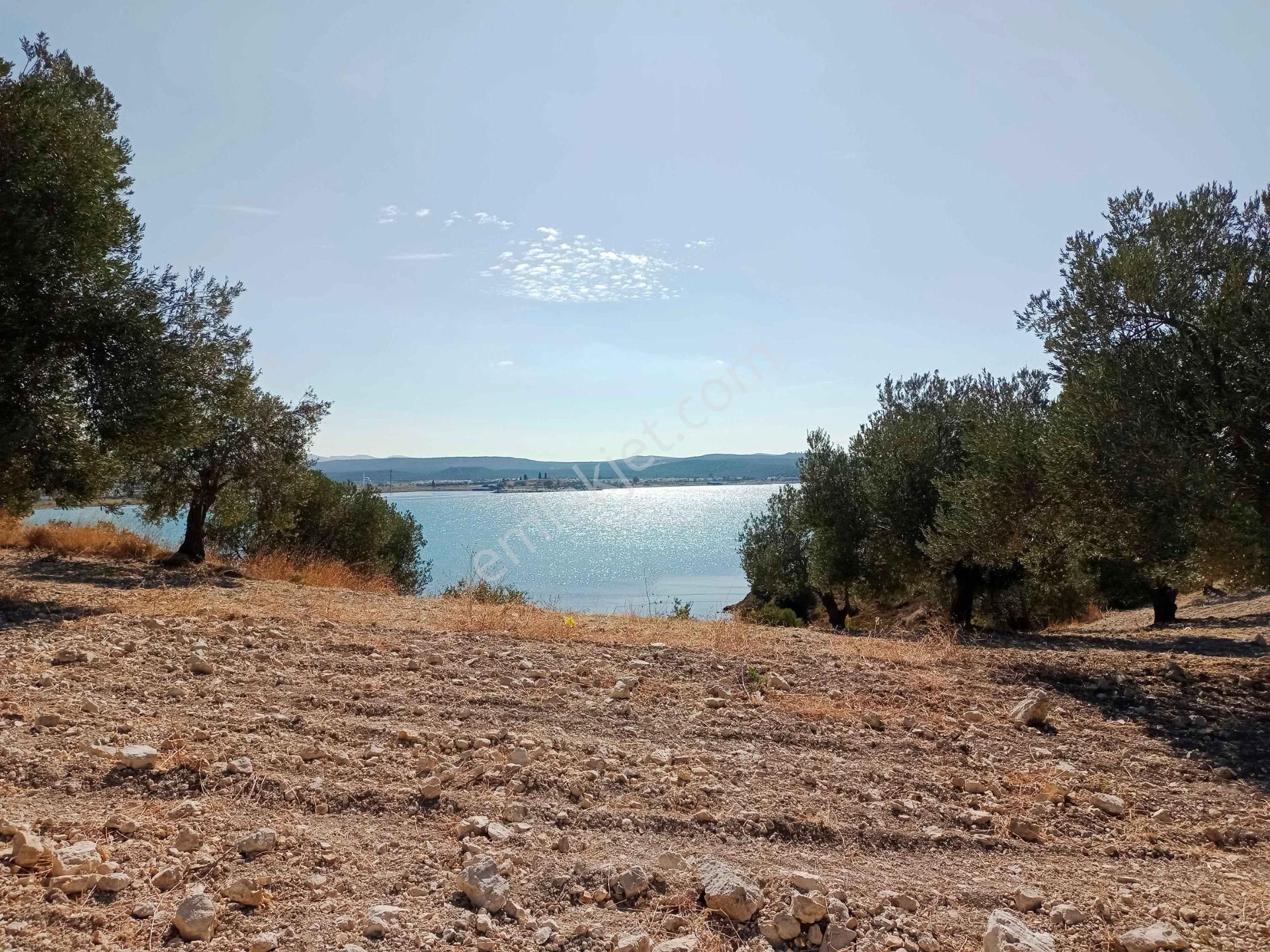 Gömeç Kemalpaşa'da Satılık, Denize Sıfır, Otel Ve Günübirlik Arsa - Görsel 12