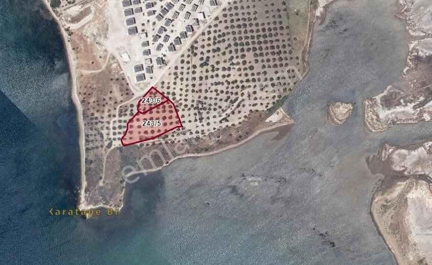 Gömeç Kemalpaşa'da Satılık, Denize Sıfır, Otel Ve Günübirlik Arsa - Görsel 2