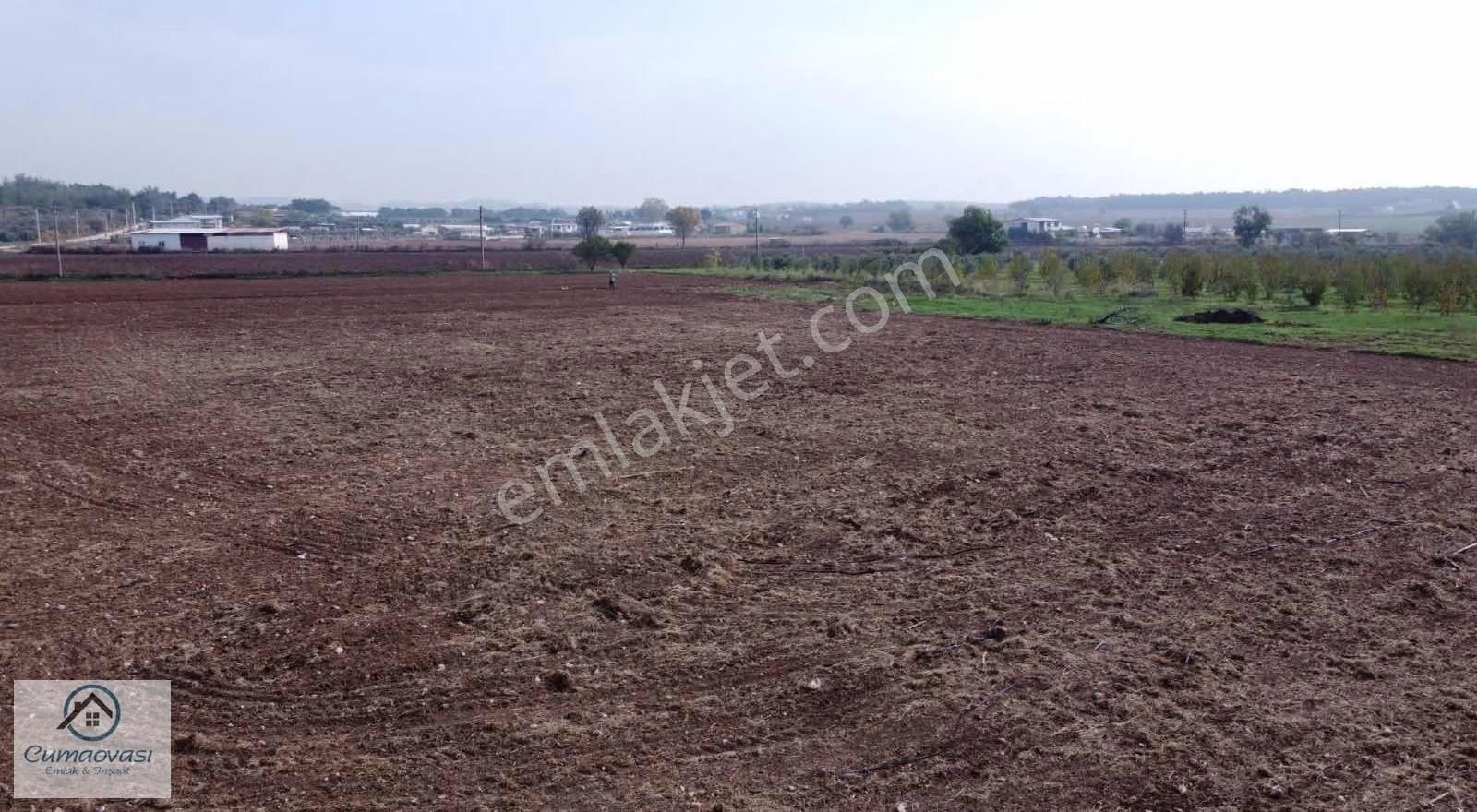 Cumaovası Emlaktan Satılık Karacaağaç 6561m2 Köşe Tapulu Tarla - Görsel 14