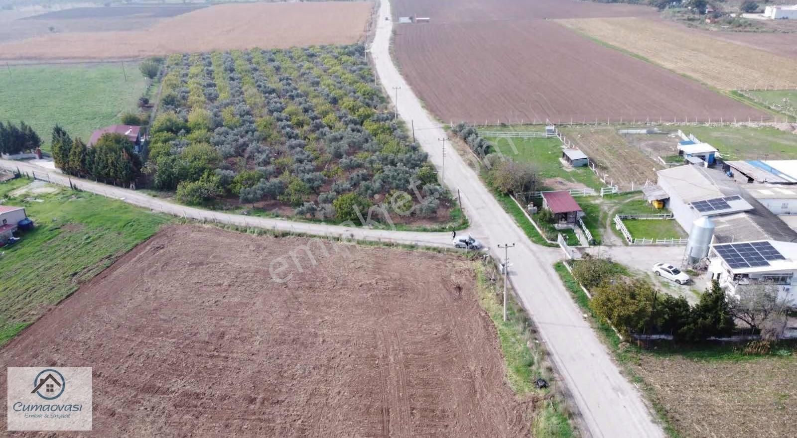 Cumaovası Emlaktan Satılık Karacaağaç 6561m2 Köşe Tapulu Tarla - Görsel 5