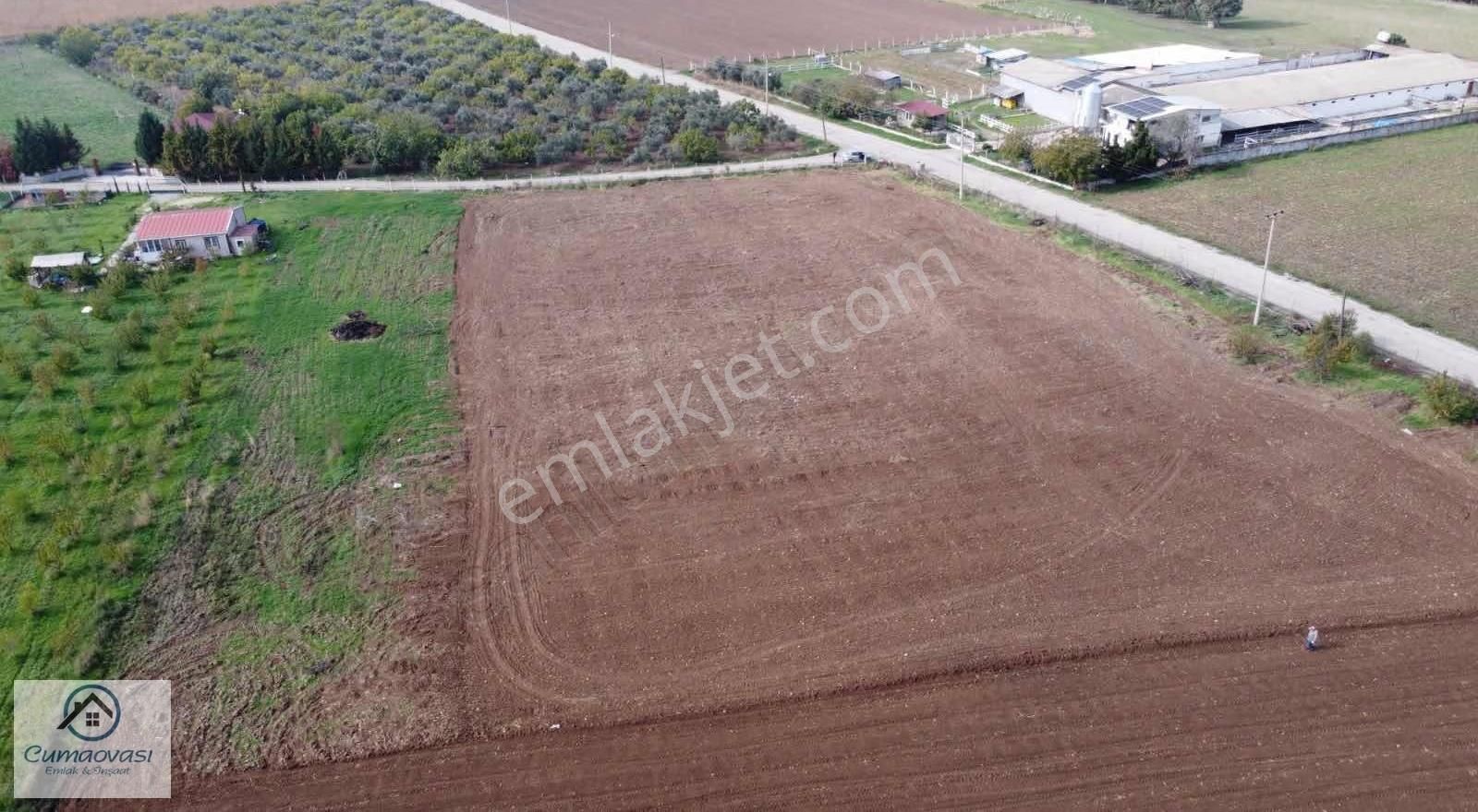 Cumaovası Emlaktan Kiralık Karacaağaç'da 6561m2 Köşe Tarla - Görsel 24