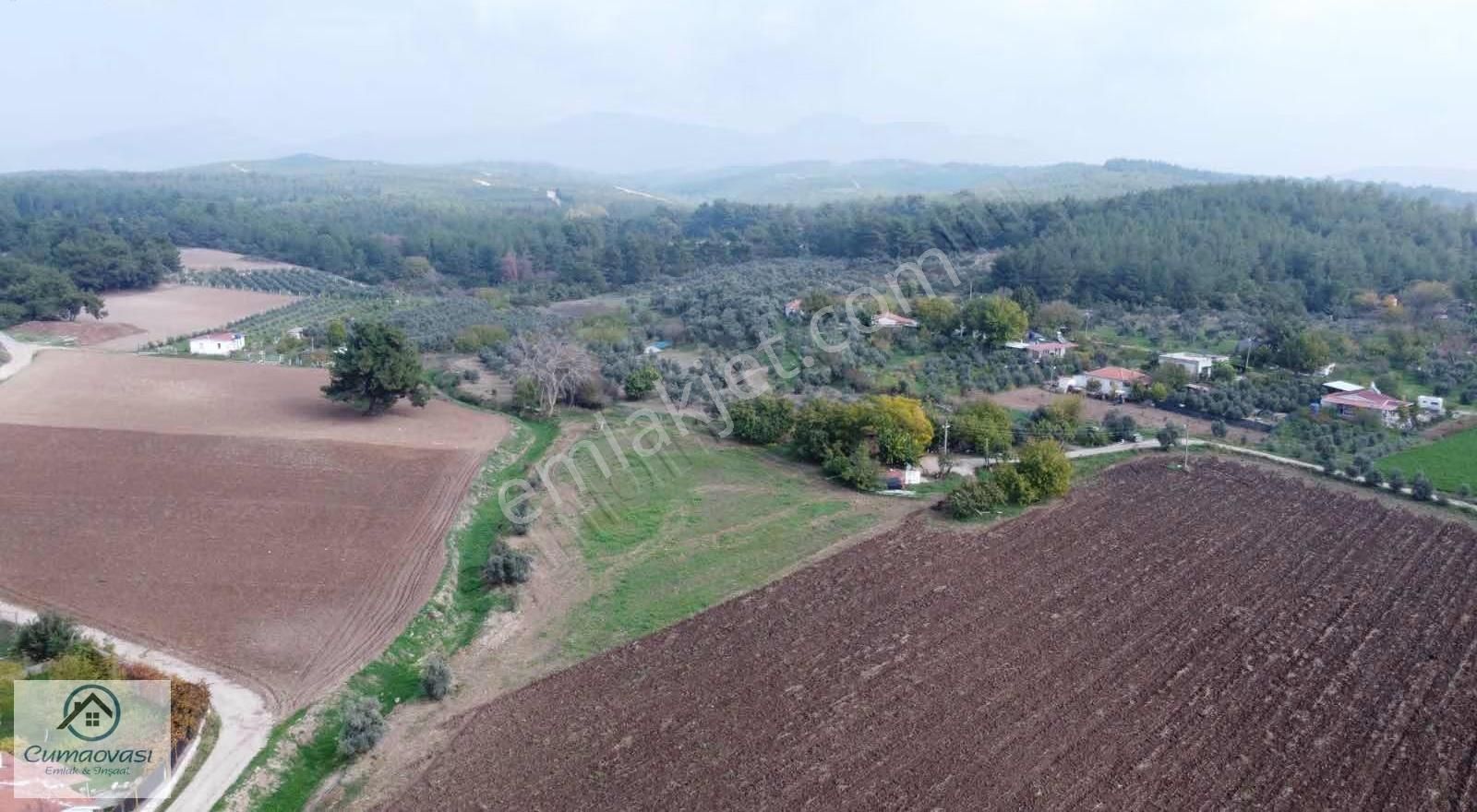 Cumaovası Emlaktan Kiralık Karacaağaç'da 6561m2 Köşe Tarla - Görsel 26