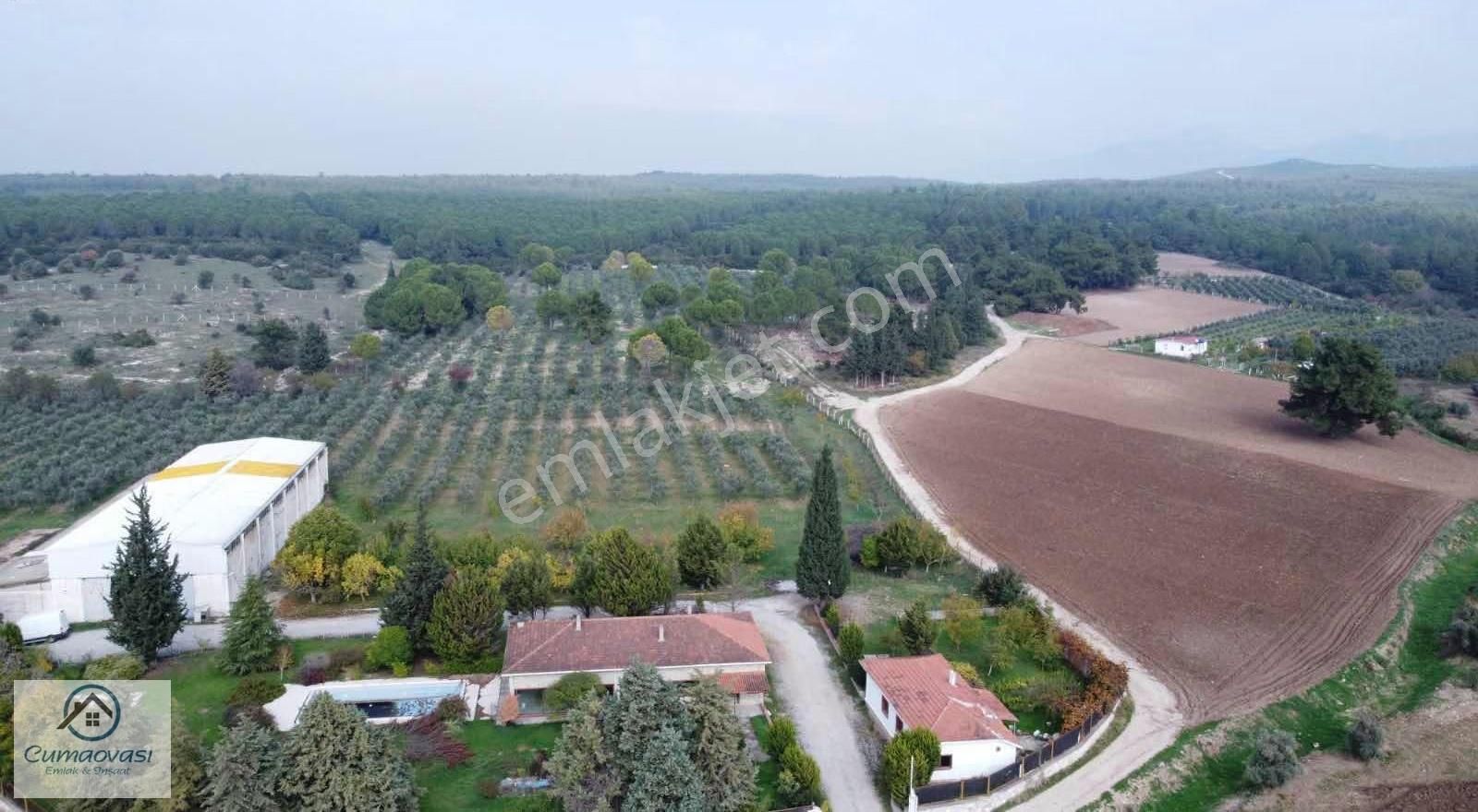 Cumaovası Emlaktan Kiralık Karacaağaç'da 6561m2 Köşe Tarla