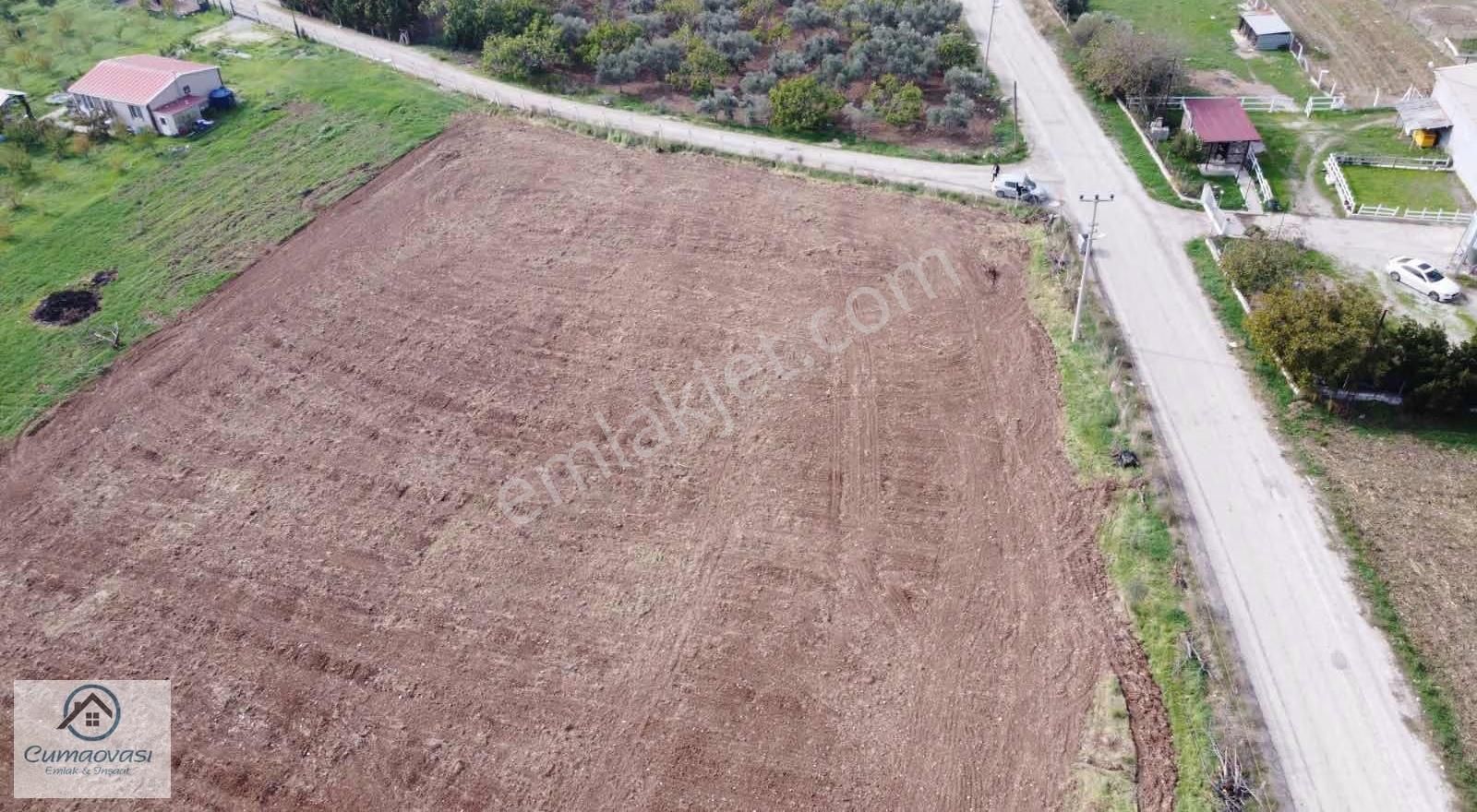 Cumaovası Emlaktan Kiralık Karacaağaç'da 6561m2 Köşe Tarla - Görsel 8