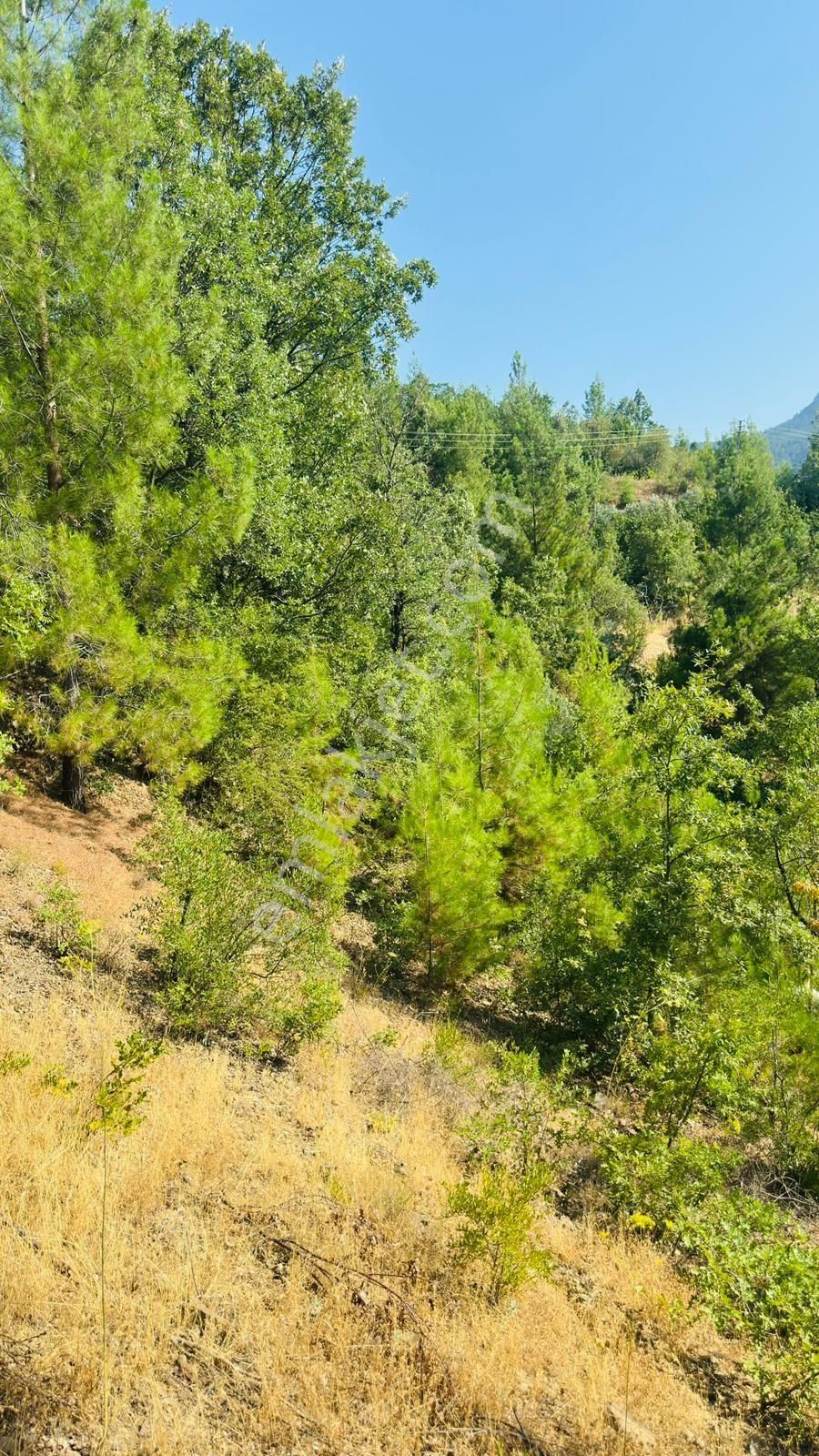 Antalya Gündoğmuş Satılık - Görsel 8