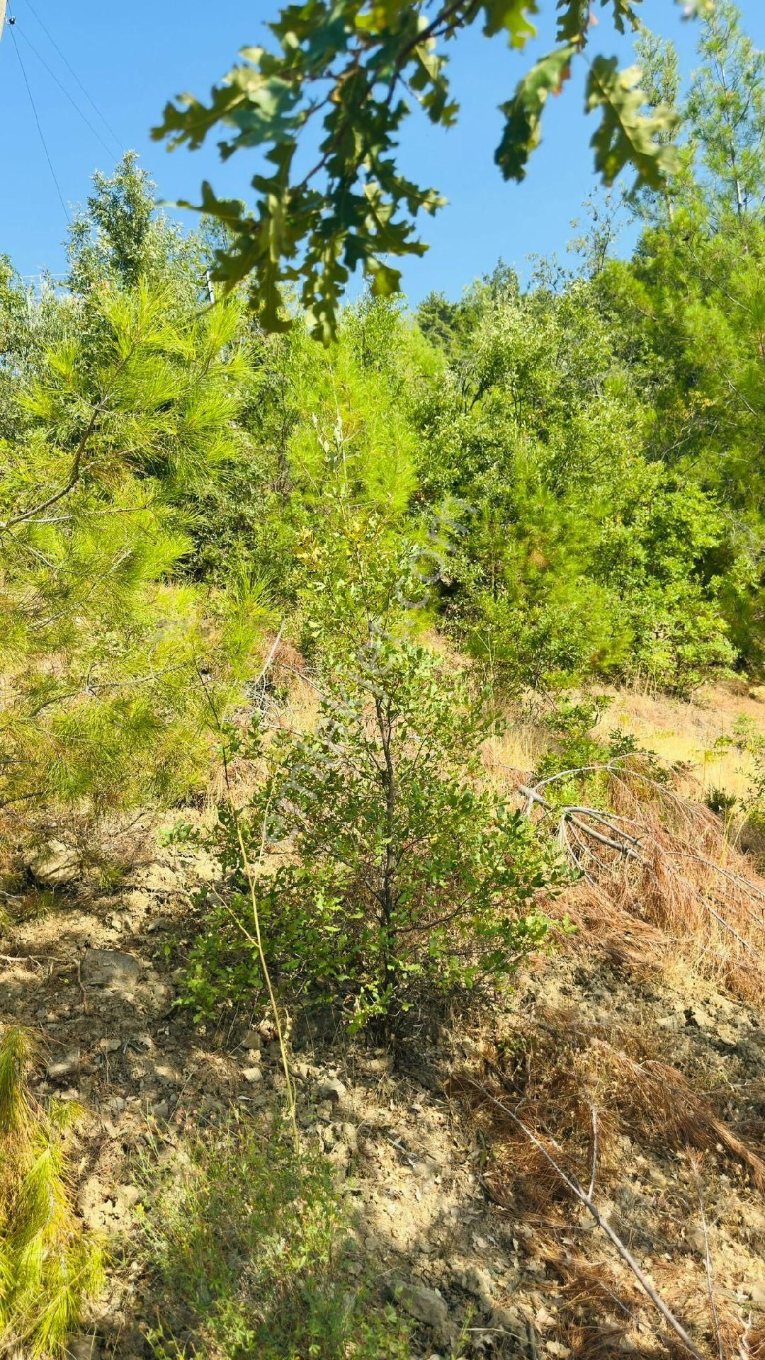 Antalya Gündoğmuş Satılık - Görsel 2