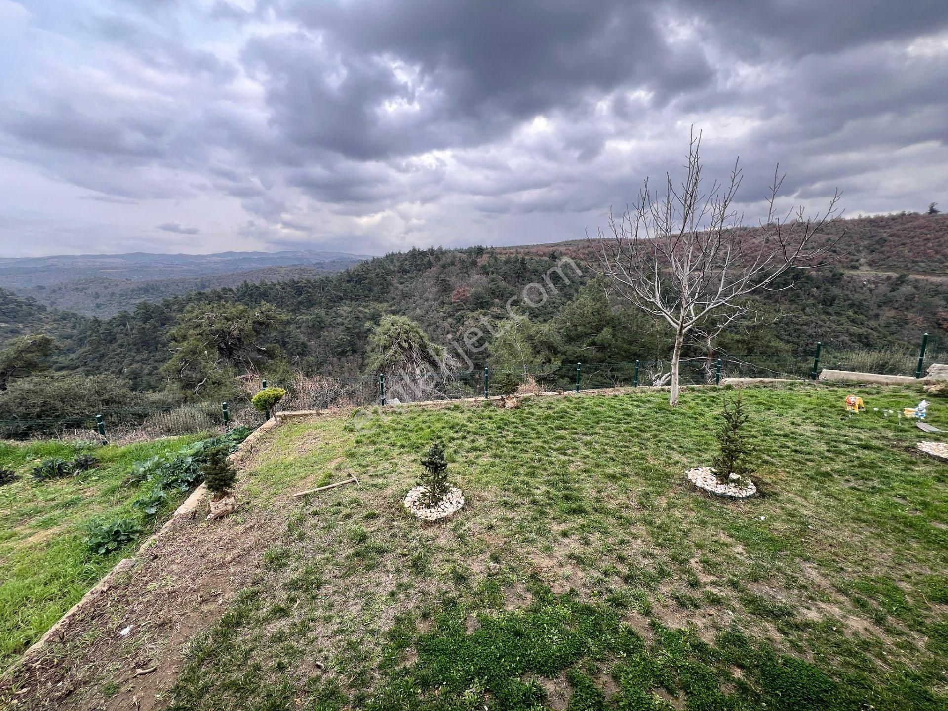 Turgutlu Satılık Güney Mah 900m2 Dubkeks Ve Bahçesi Tüm Özellikler Açıklamada - Görsel 29
