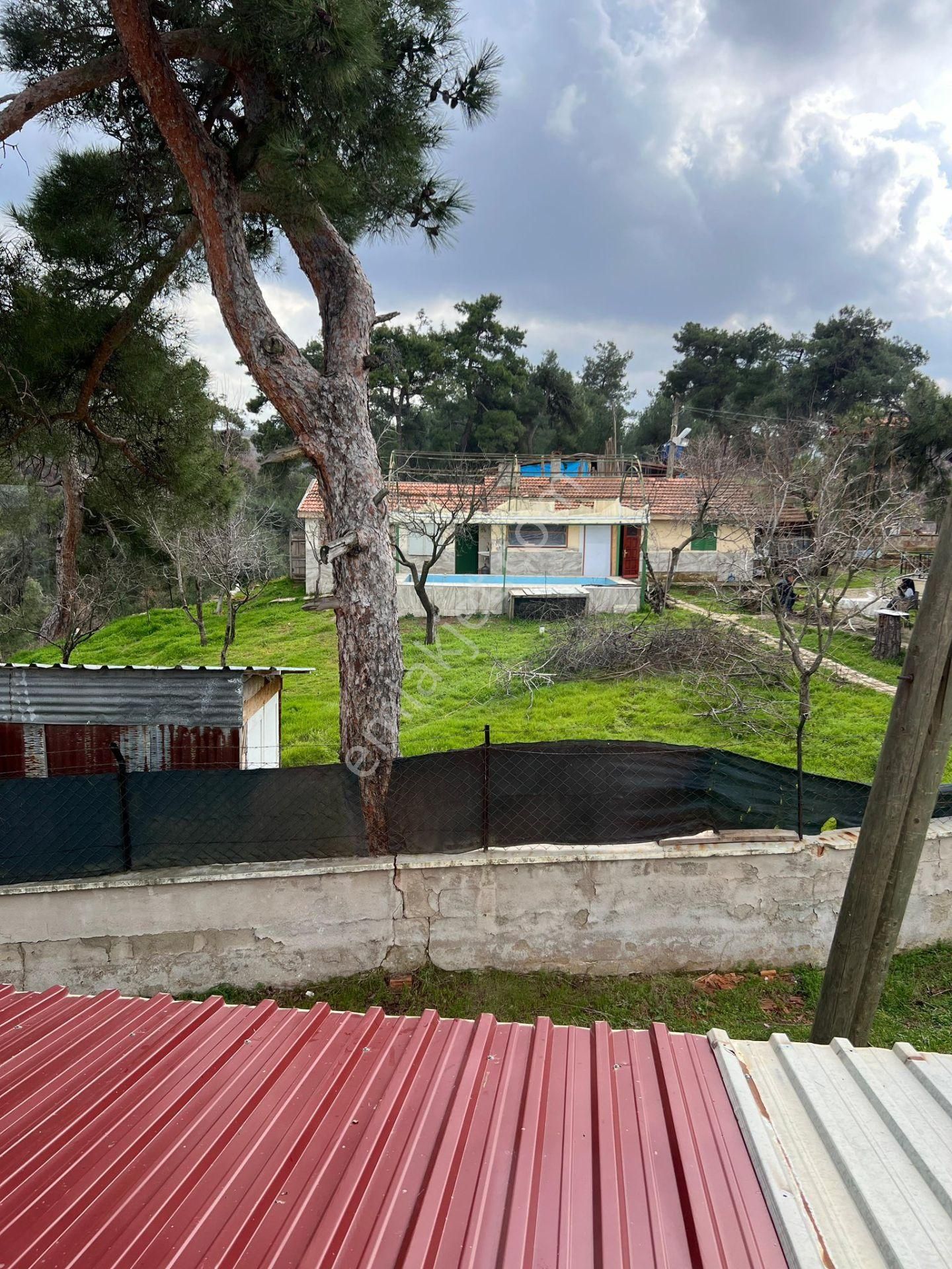 Turgutlu Satılık Güney Mah 900m2 Dubkeks Ve Bahçesi Tüm Özellikler Açıklamada - Görsel 24