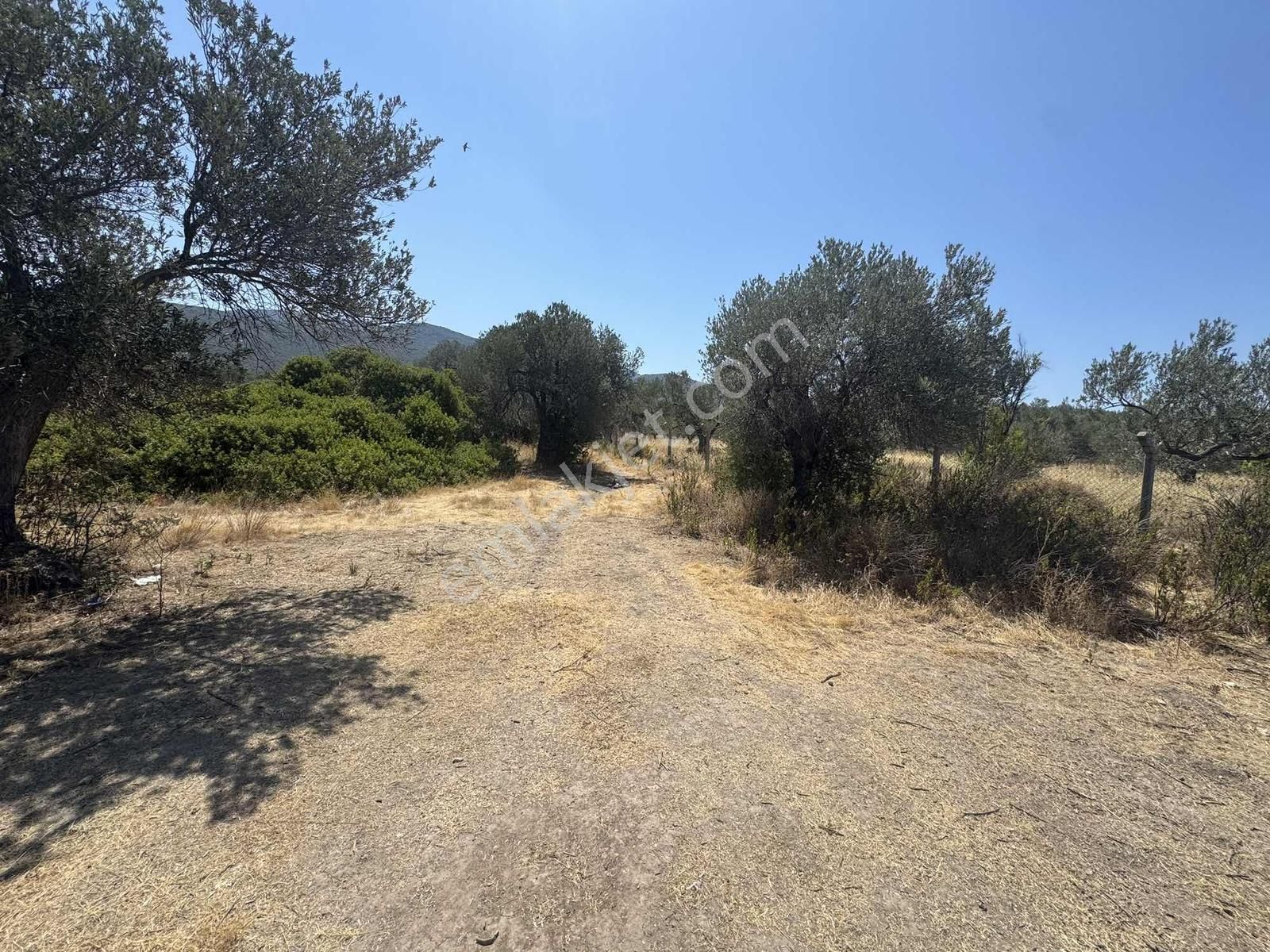 Turpa Arxes Gayrimenkul Den Denizköyde Deniz Manzaralı Satılık - Görsel 8