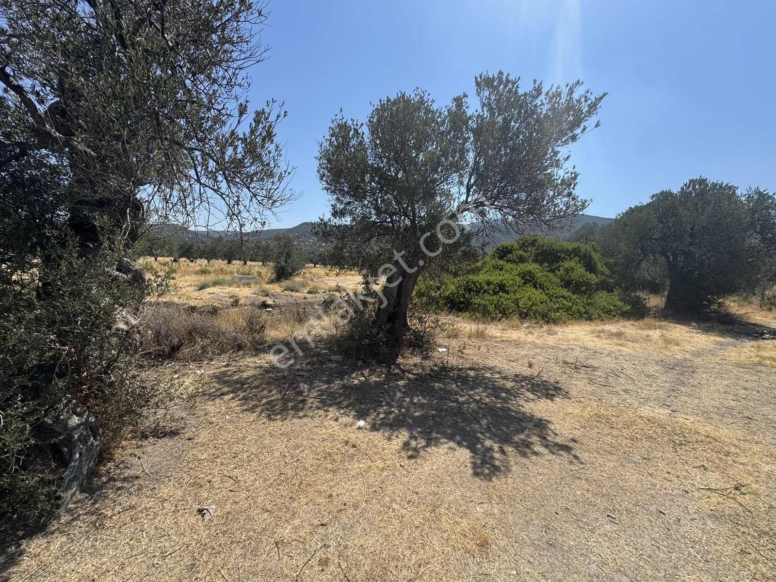 Turpa Arxes Gayrimenkul Den Denizköyde Deniz Manzaralı Satılık - Görsel 12