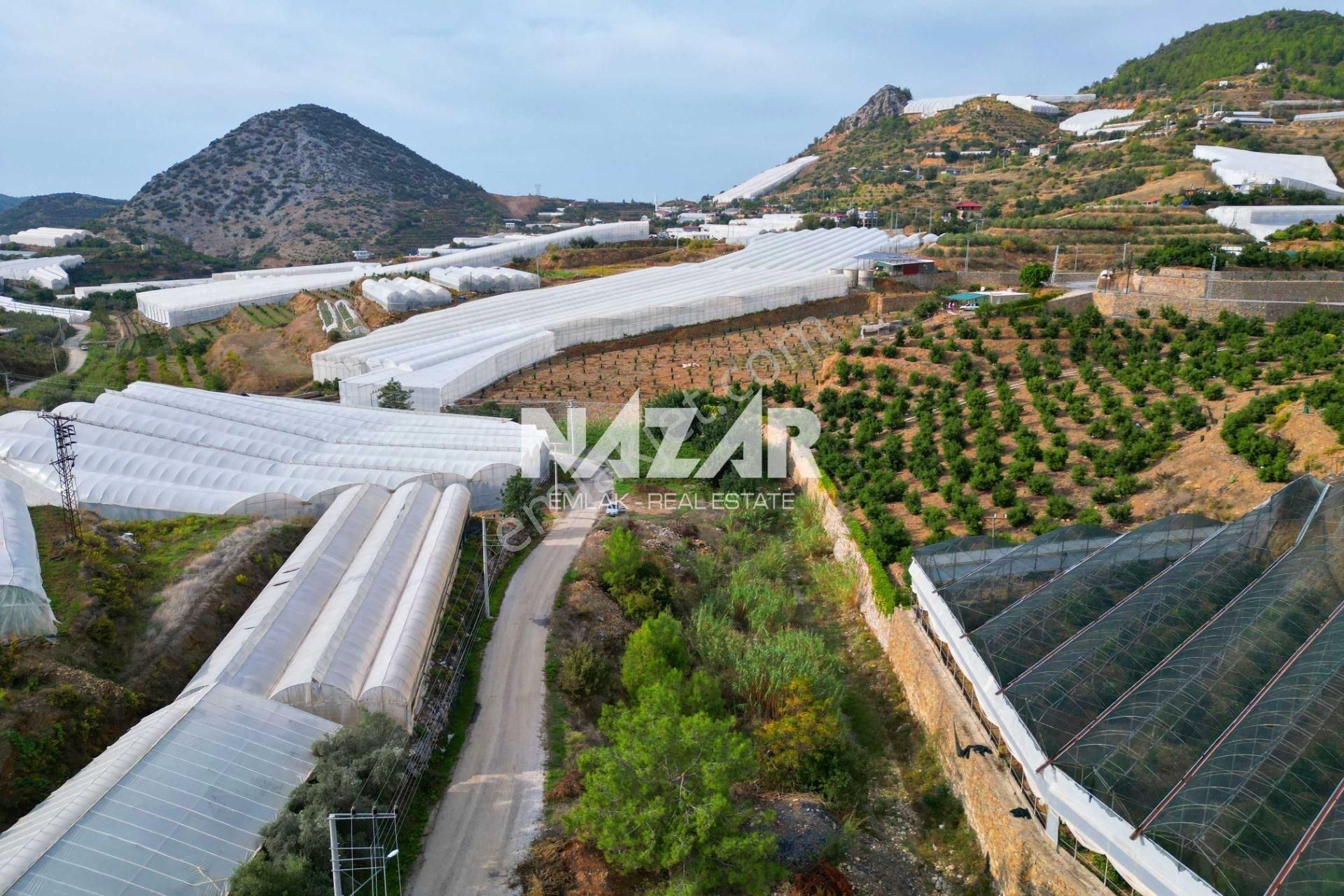 Alanya İmamlı’da Satılık 2.731 M² Deniz Manzaralı Tarla - Görsel 6