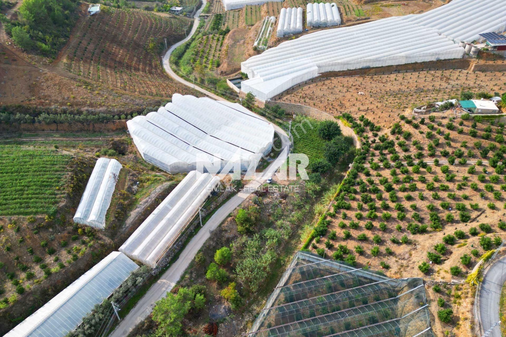 Alanya İmamlı’da Satılık 2.731 M² Deniz Manzaralı Tarla - Görsel 14