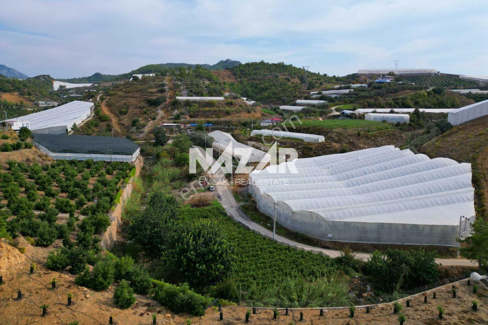 Alanya İmamlı’da Satılık 2.731 M² Deniz Manzaralı Tarla - Görsel 8