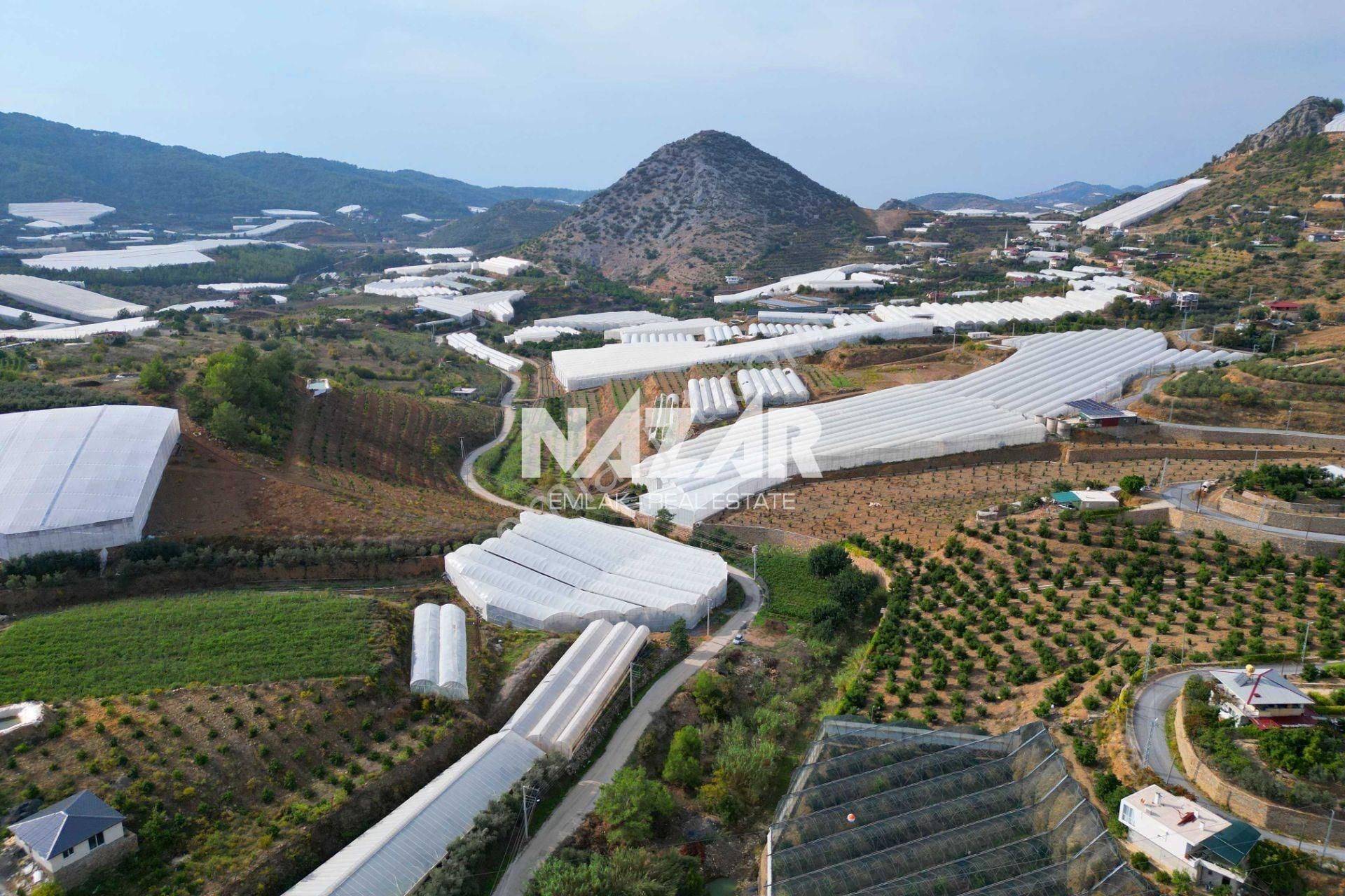 Alanya İmamlı’da Satılık 2.731 M² Deniz Manzaralı Tarla