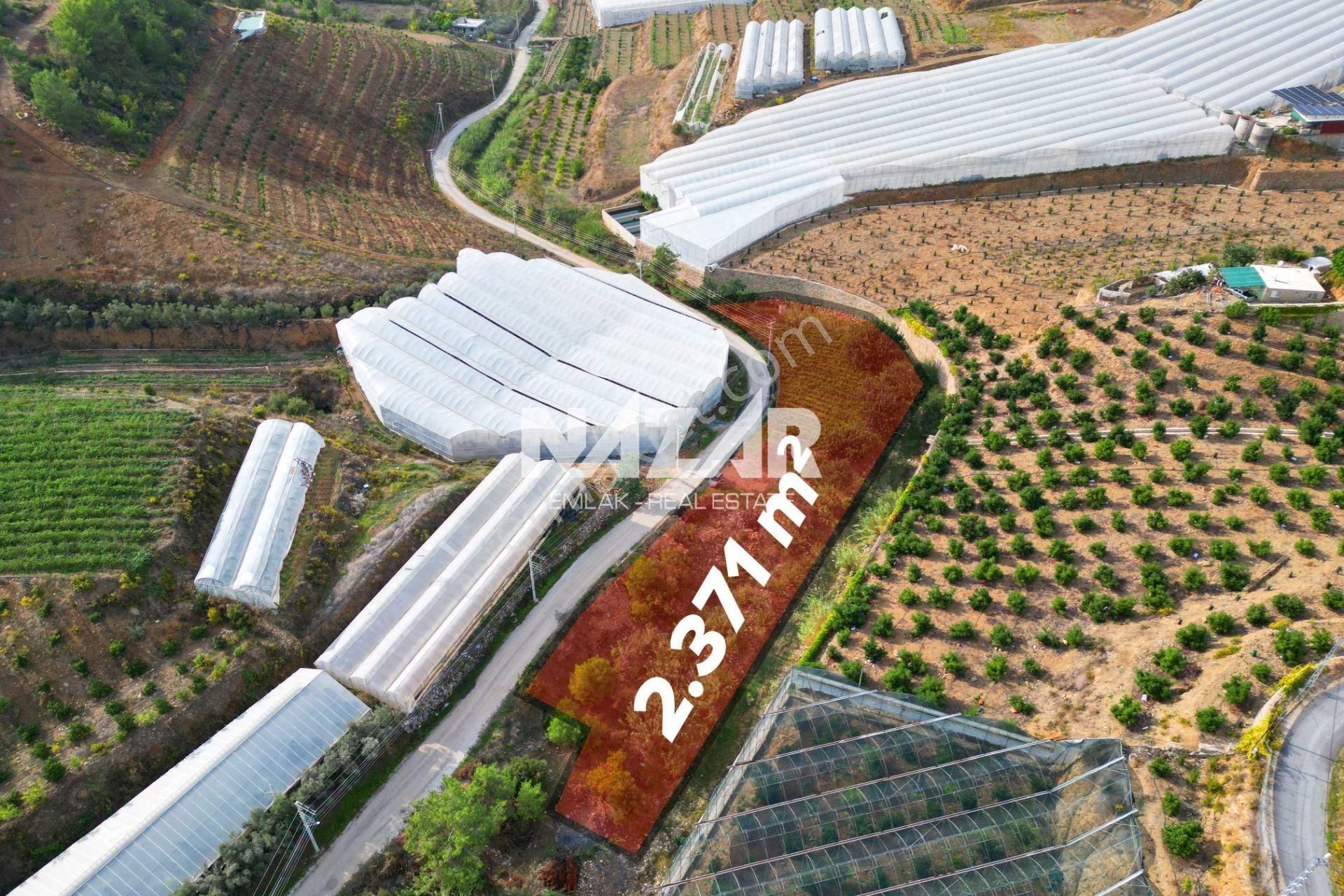 Alanya İmamlı’da Satılık 2.731 M² Deniz Manzaralı Tarla - Görsel 4