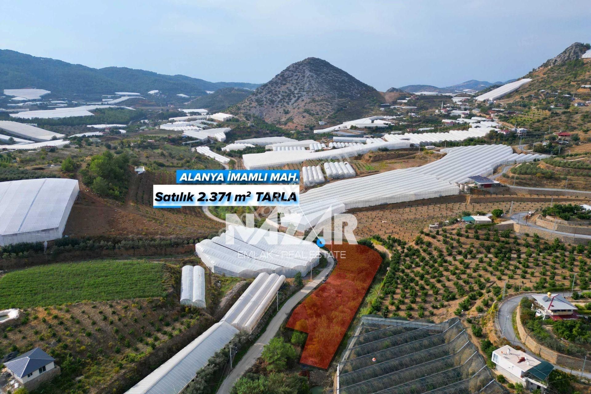 Alanya İmamlı’da Satılık 2.731 M² Deniz Manzaralı Tarla - Görsel 2