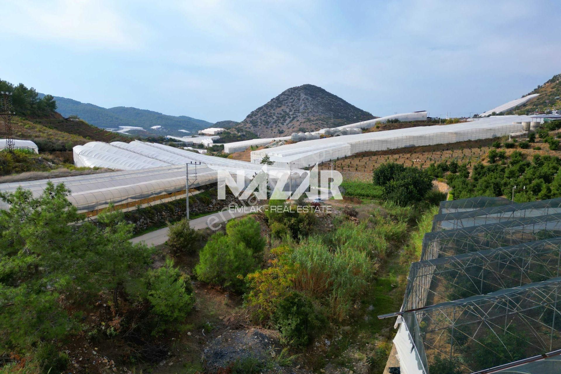 Alanya İmamlı’da Satılık 2.731 M² Deniz Manzaralı Tarla - Görsel 12