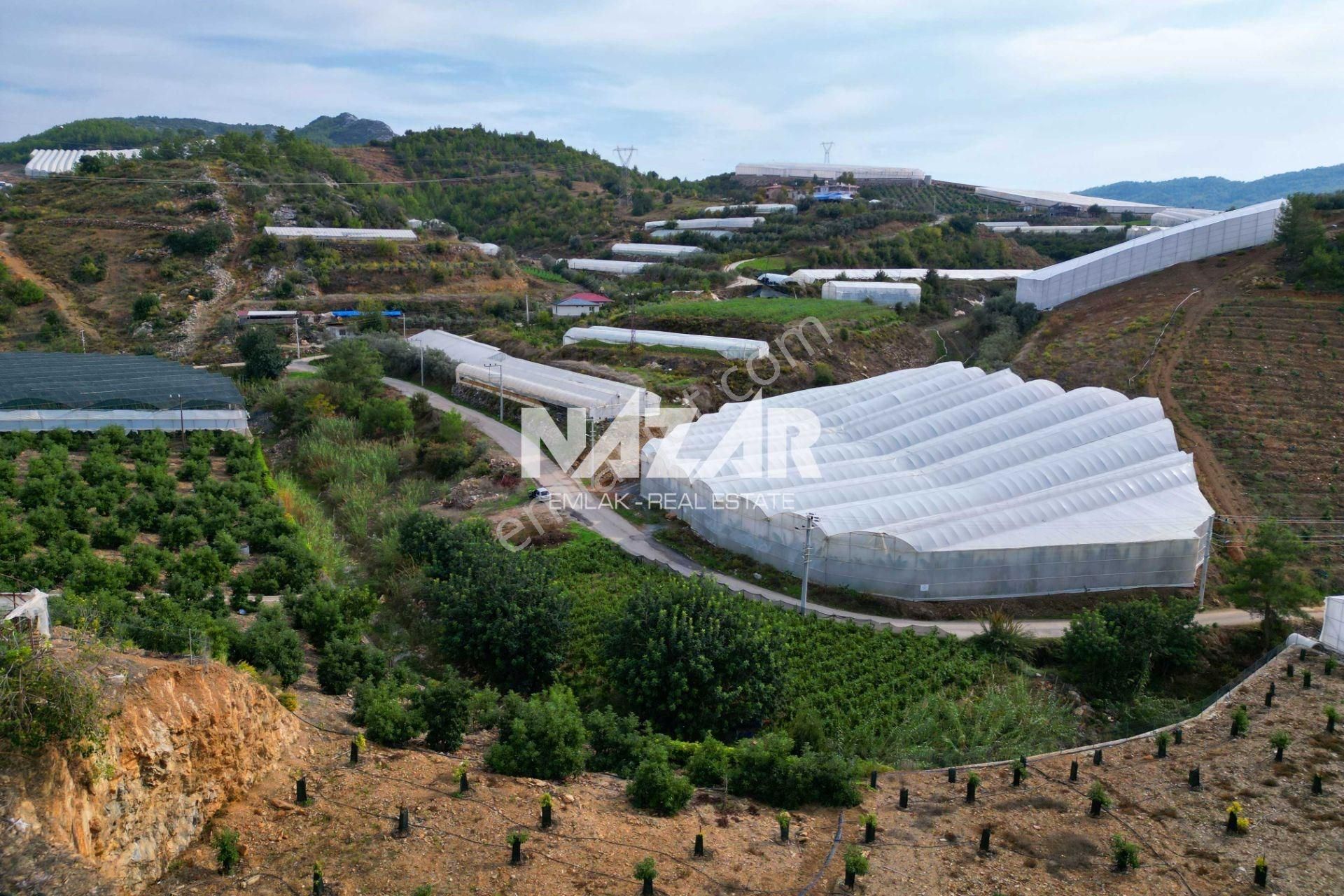 Alanya İmamlı’da Satılık 2.731 M² Deniz Manzaralı Tarla - Görsel 9