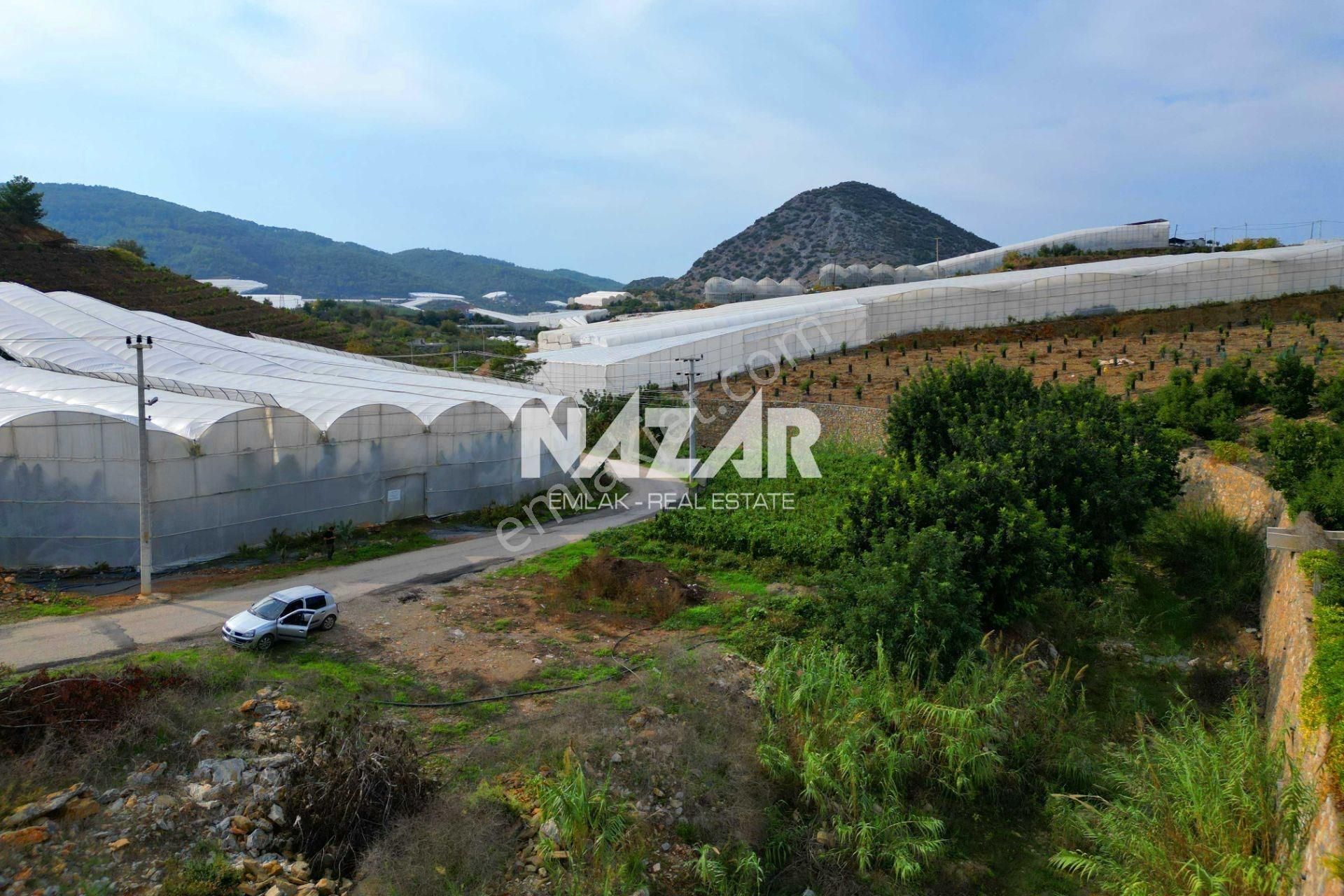 Alanya İmamlı’da Satılık 2.731 M² Deniz Manzaralı Tarla - Görsel 11