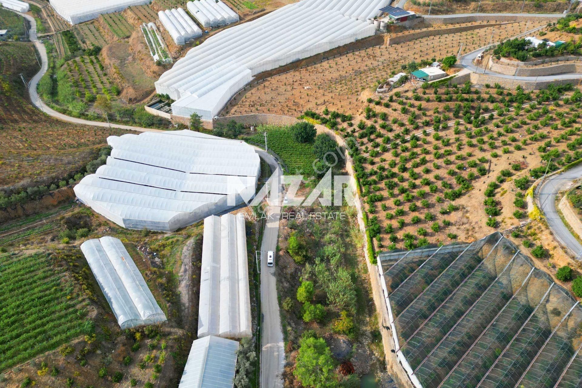 Alanya İmamlı’da Satılık 2.731 M² Deniz Manzaralı Tarla - Görsel 15