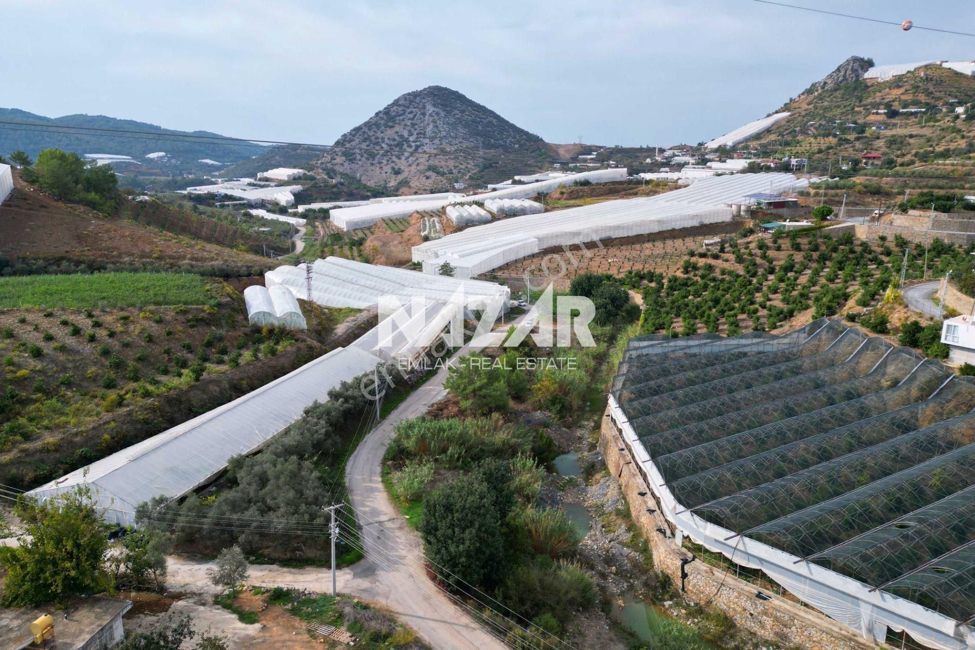 Alanya İmamlı’da Satılık 2.731 M² Deniz Manzaralı Tarla - Görsel 5