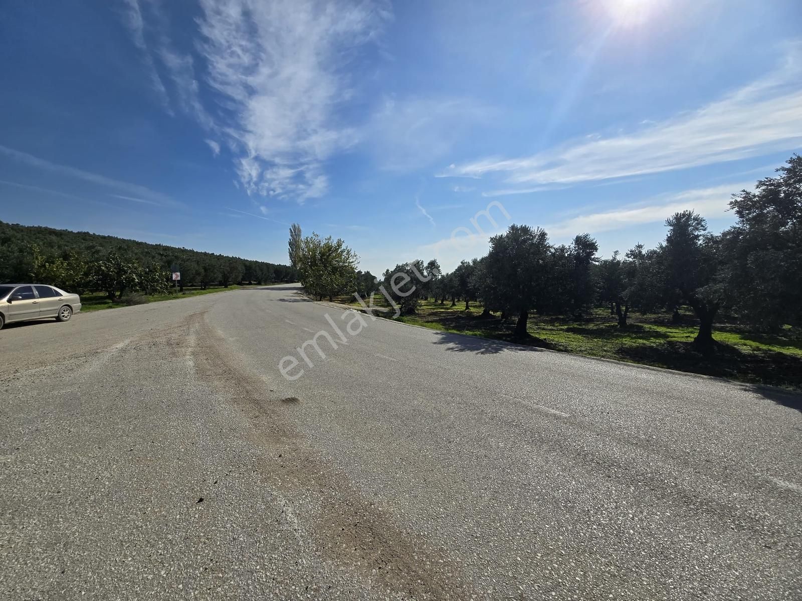 Mudanya Çepni'de Asfalta Cephe Tek Tapu 3533m2 Fırsat Arazi - Görsel 16