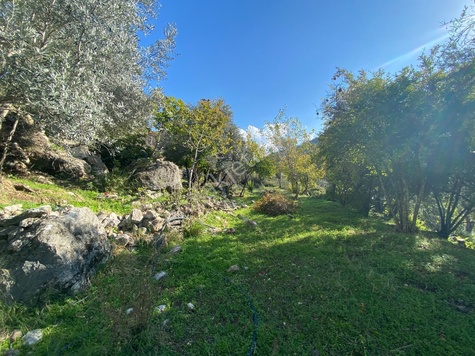 Fethiye Yakacık'ta Projesi Hazır 1697m2 Köyiçi Konumda Satılık Tarla - Görsel 9