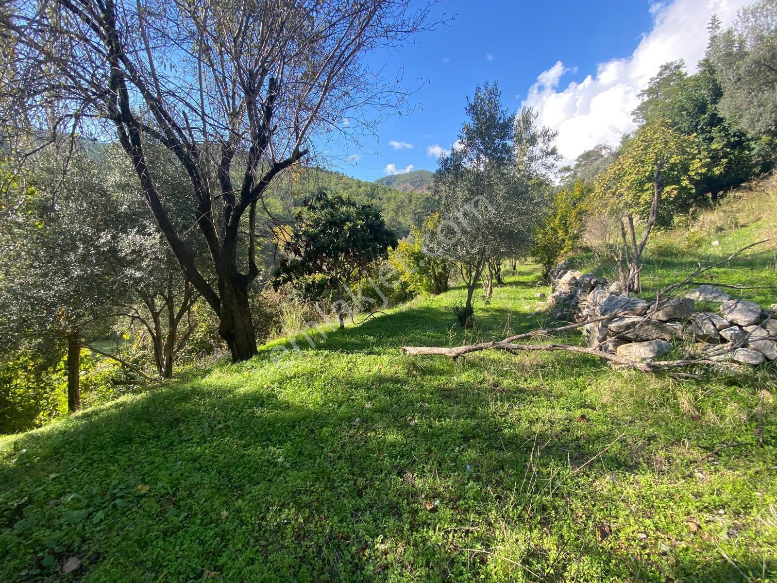 Fethiye Yakacık'ta Projesi Hazır 1697m2 Köyiçi Konumda Satılık Tarla - Görsel 4