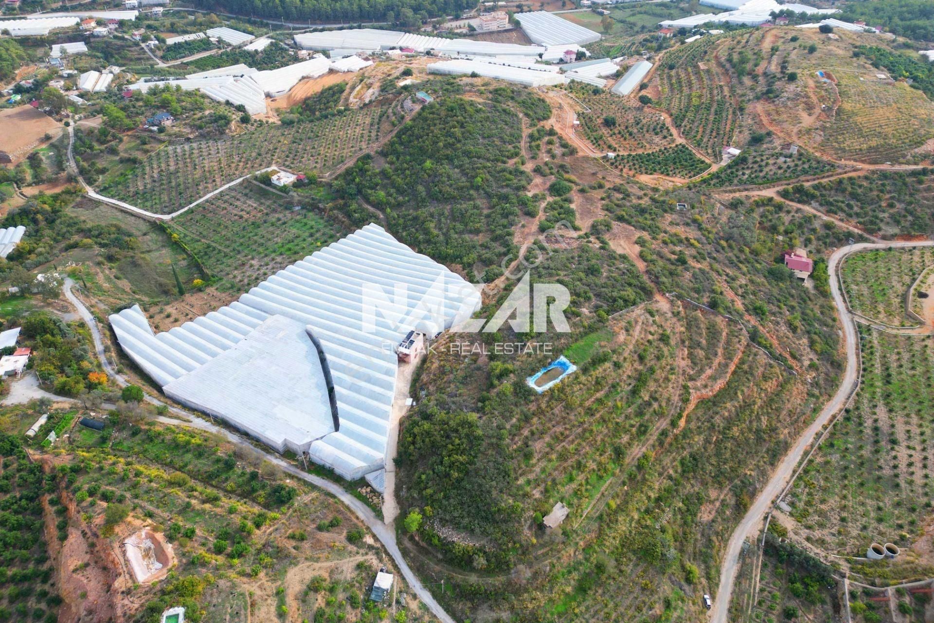 Alanya Yeşilöz’de Satılık 17.251 M² Deniz Manzaralı Tarla - Görsel 8