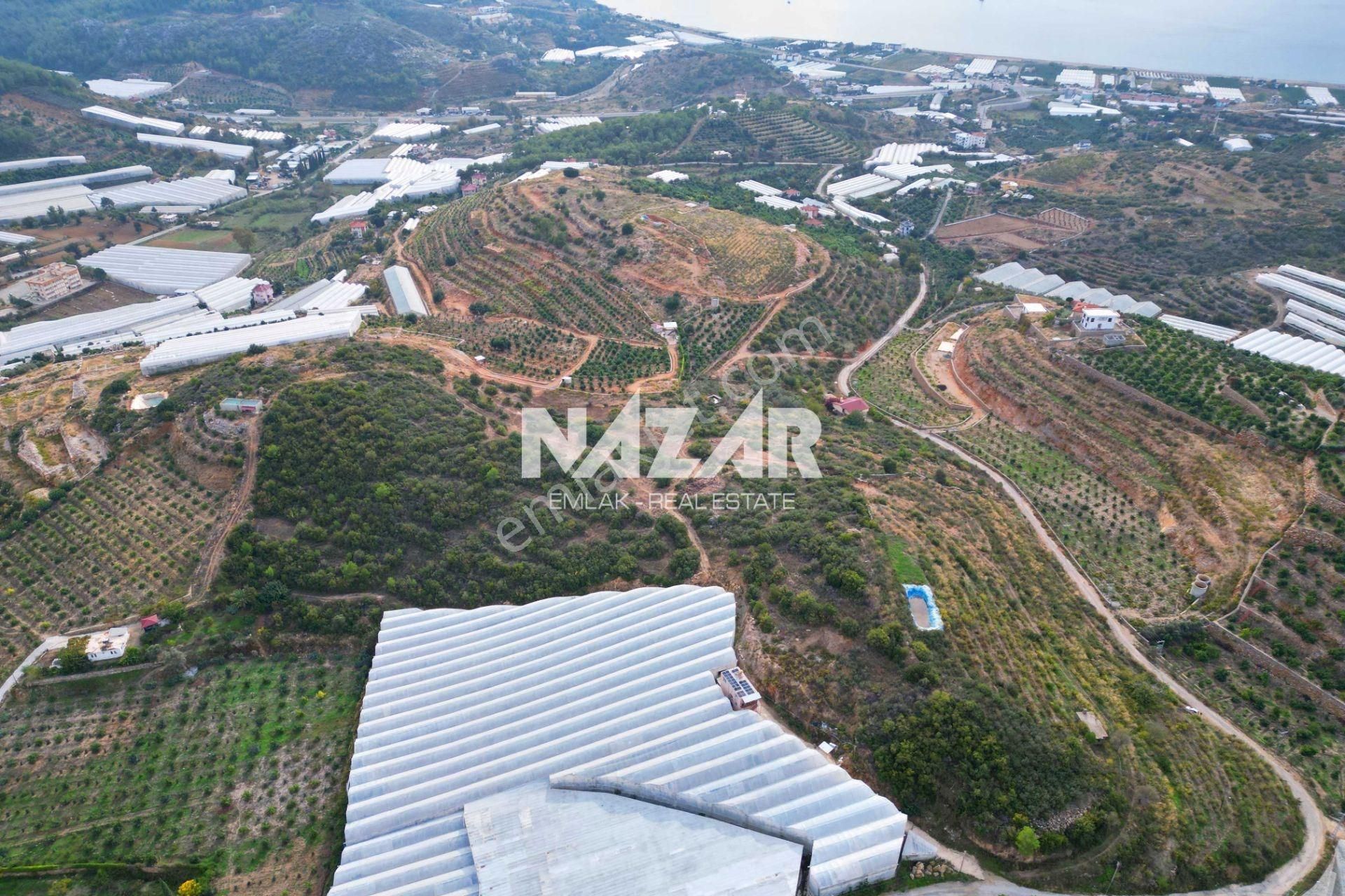 Alanya Yeşilöz’de Satılık 17.251 M² Deniz Manzaralı Tarla - Görsel 9