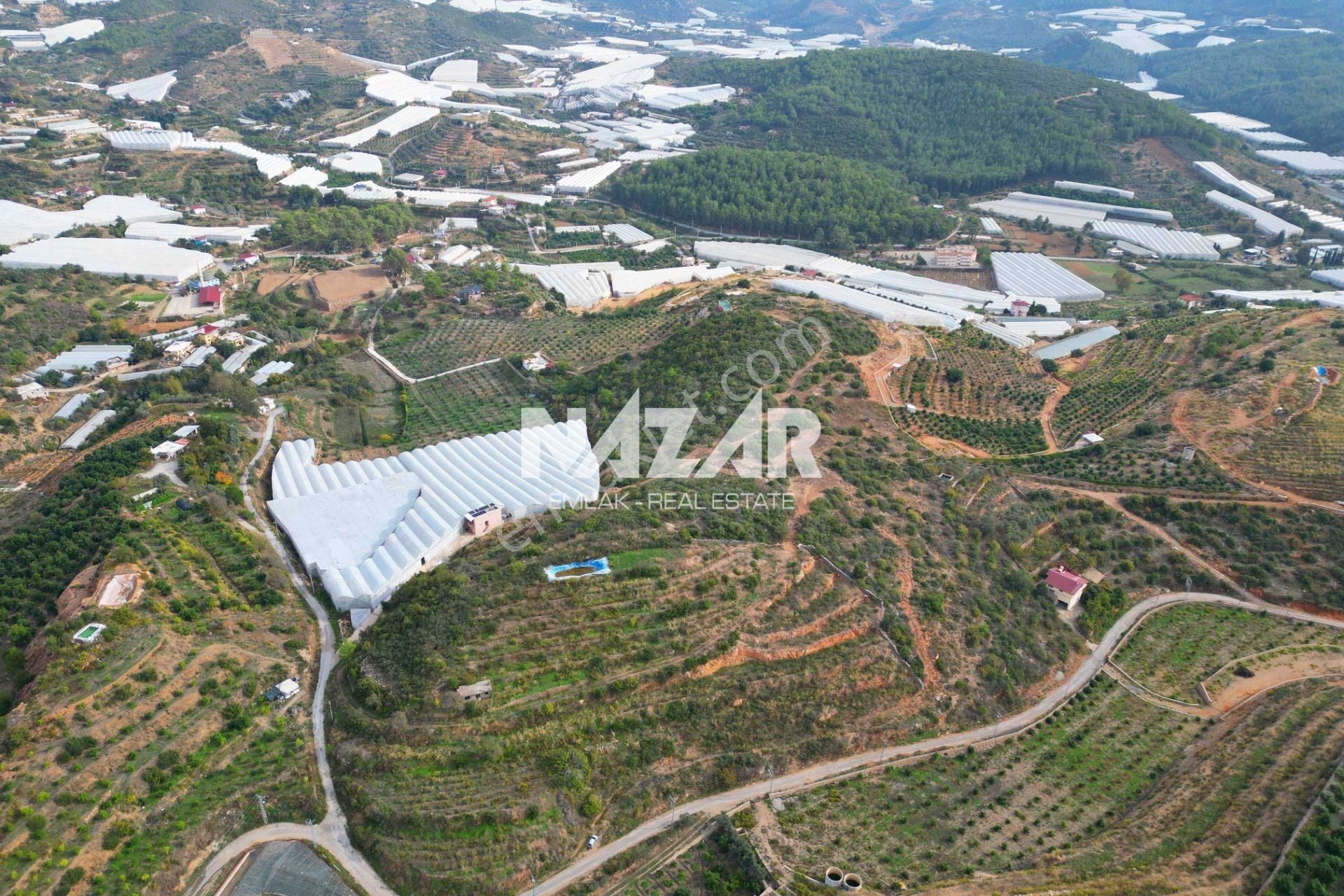 Alanya Yeşilöz’de Satılık 17.251 M² Deniz Manzaralı Tarla - Görsel 6