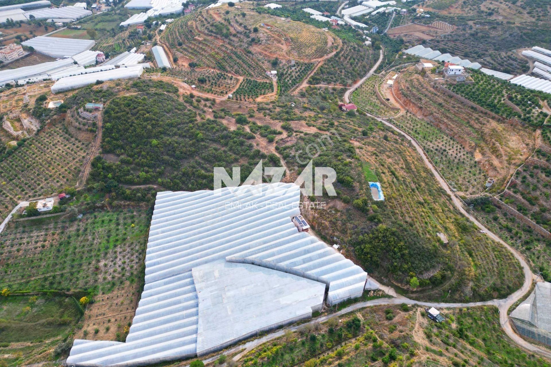 Alanya Yeşilöz’de Satılık 17.251 M² Deniz Manzaralı Tarla - Görsel 10