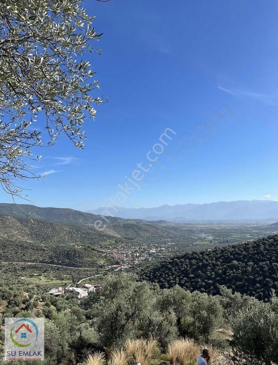 Su Emlak'tan Kupon Zeytinlik - Görsel 24