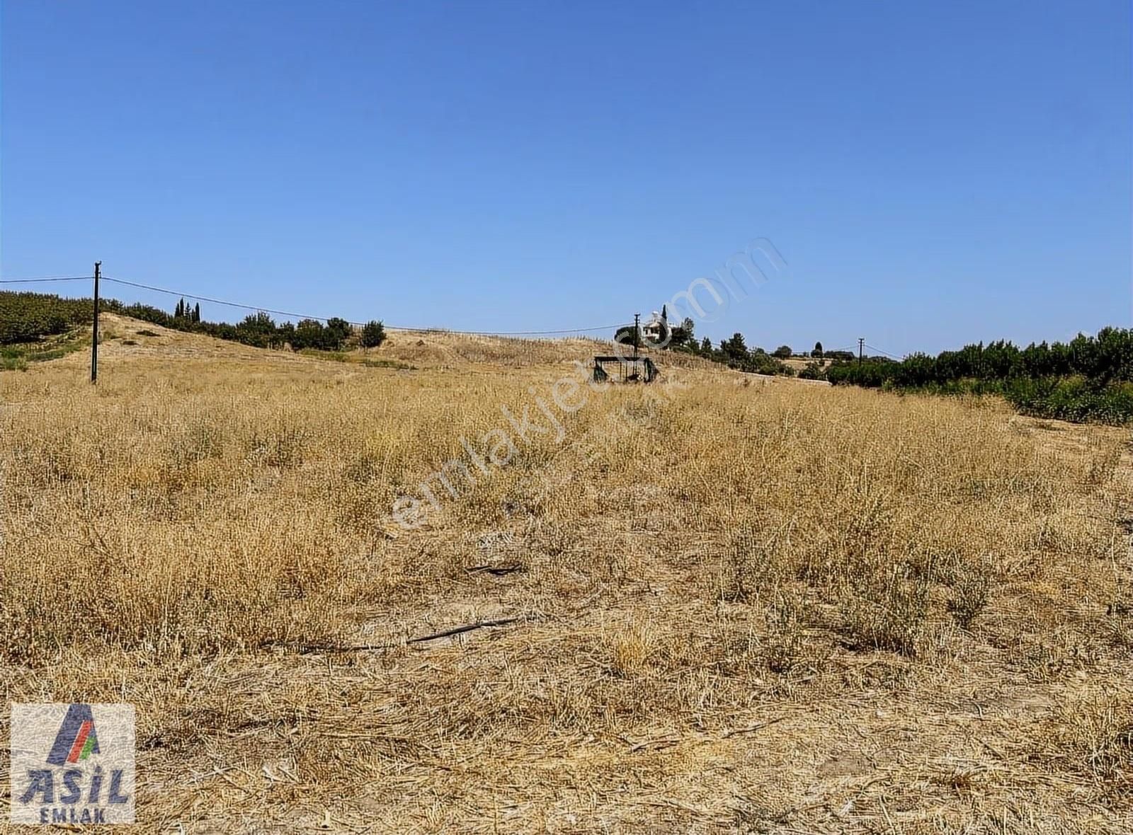 Satılık Tarla-depo Ve Tarım Yapmaya Müsait - Görsel 8