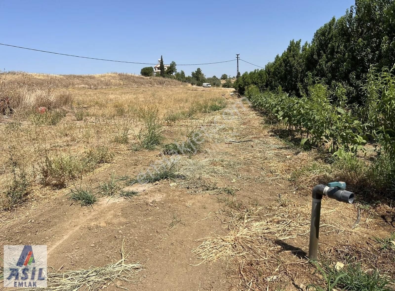 Satılık Tarla-depo Ve Tarım Yapmaya Müsait - Görsel 5