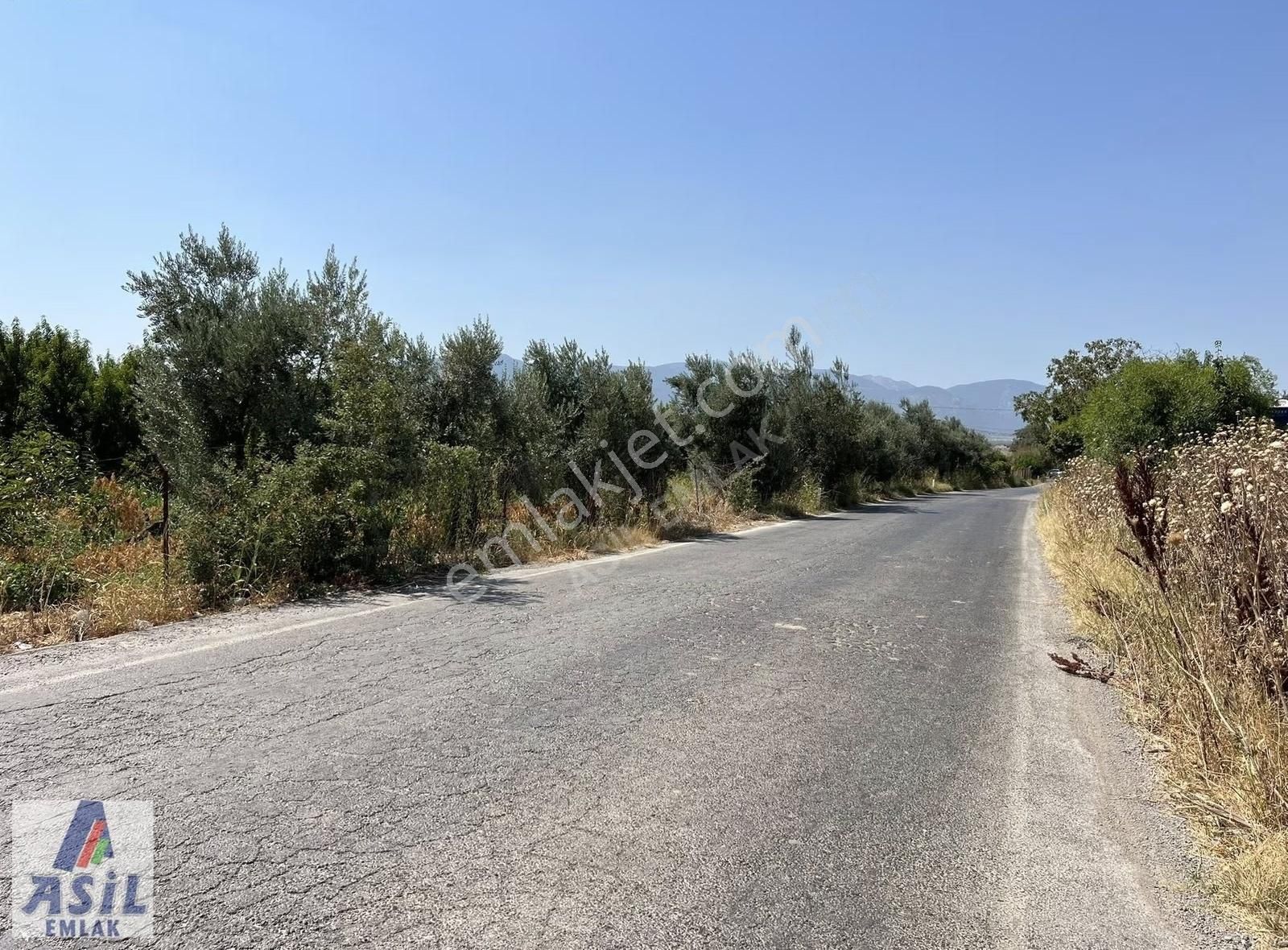 Satılık Tarla-depo Ve Tarım Yapmaya Müsait - Görsel 2