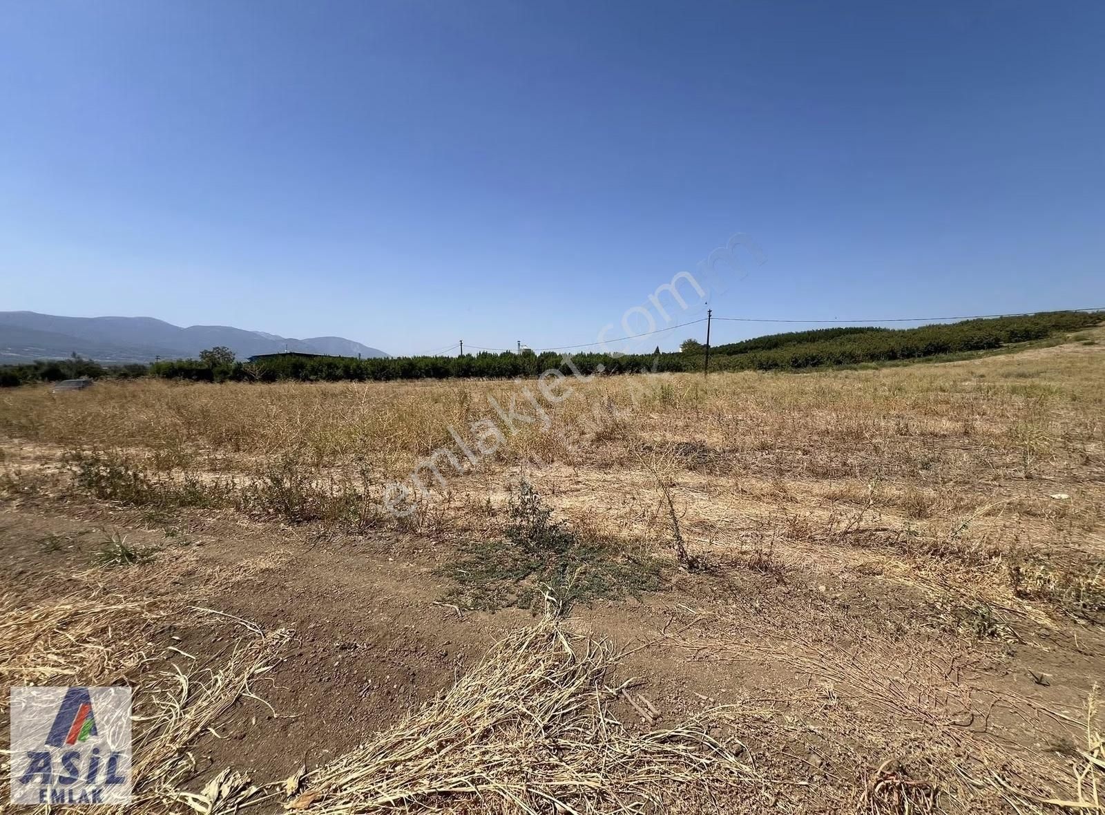 Satılık Tarla-depo Ve Tarım Yapmaya Müsait - Görsel 9