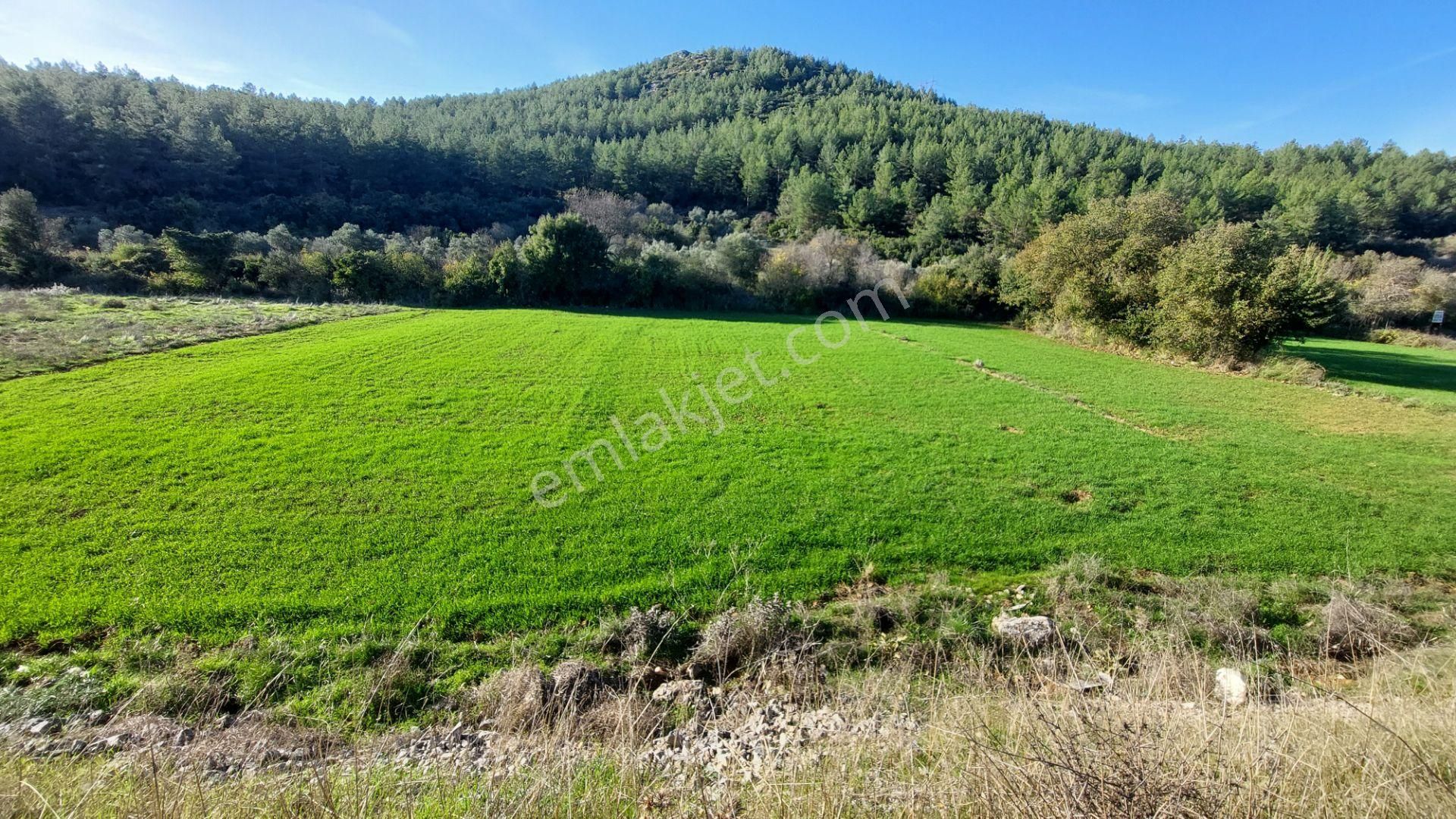 Muğla Ula Köprübaşında Yatırıma Uygun 664.m2 Tarla