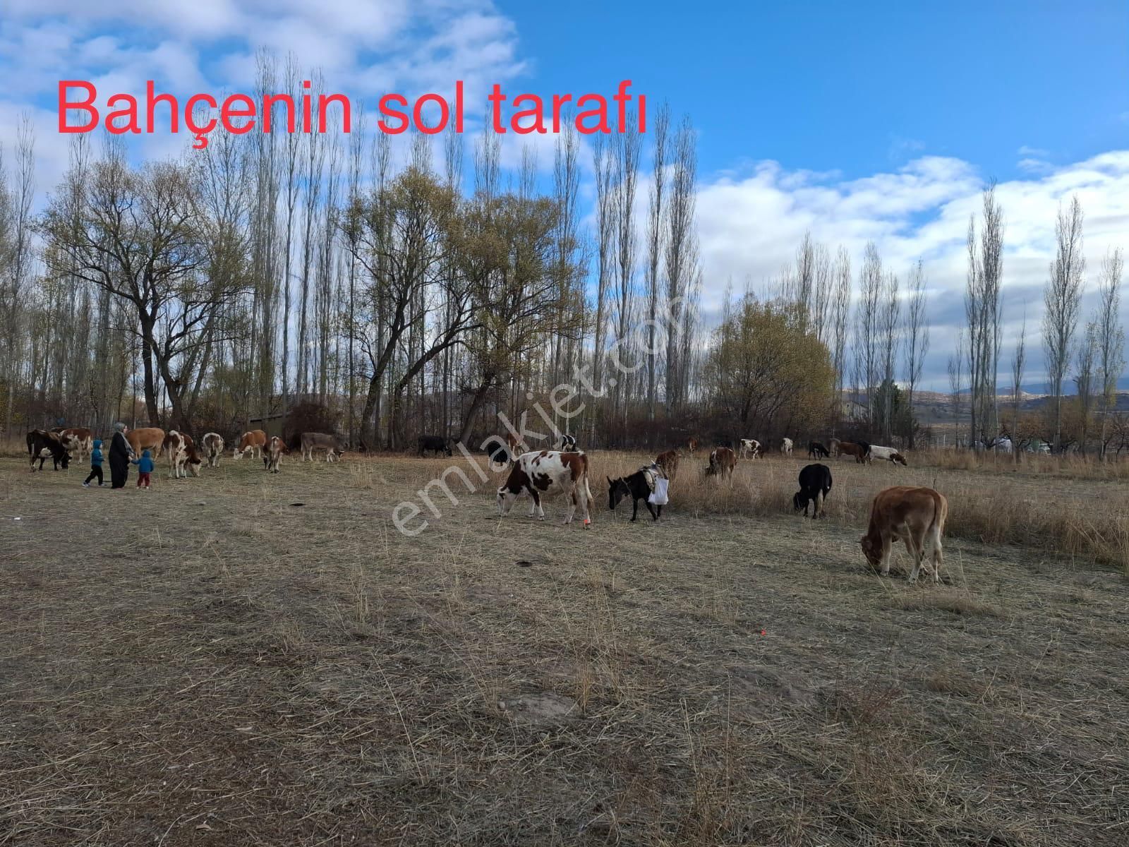 Meram Sefaköy'de Müstakil Tapulu 315,68 M2 Satılık Bahçe - Görsel 5