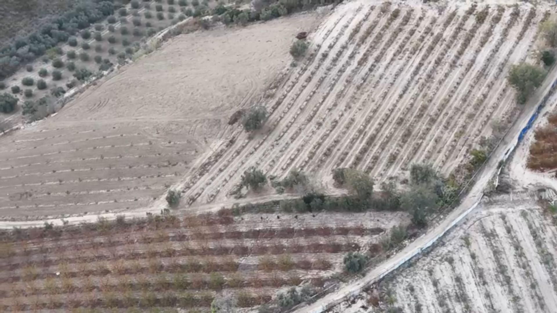 Ra Gayrimenkul Akdeniz İhsaniye Satılık Tarla - Görsel 2