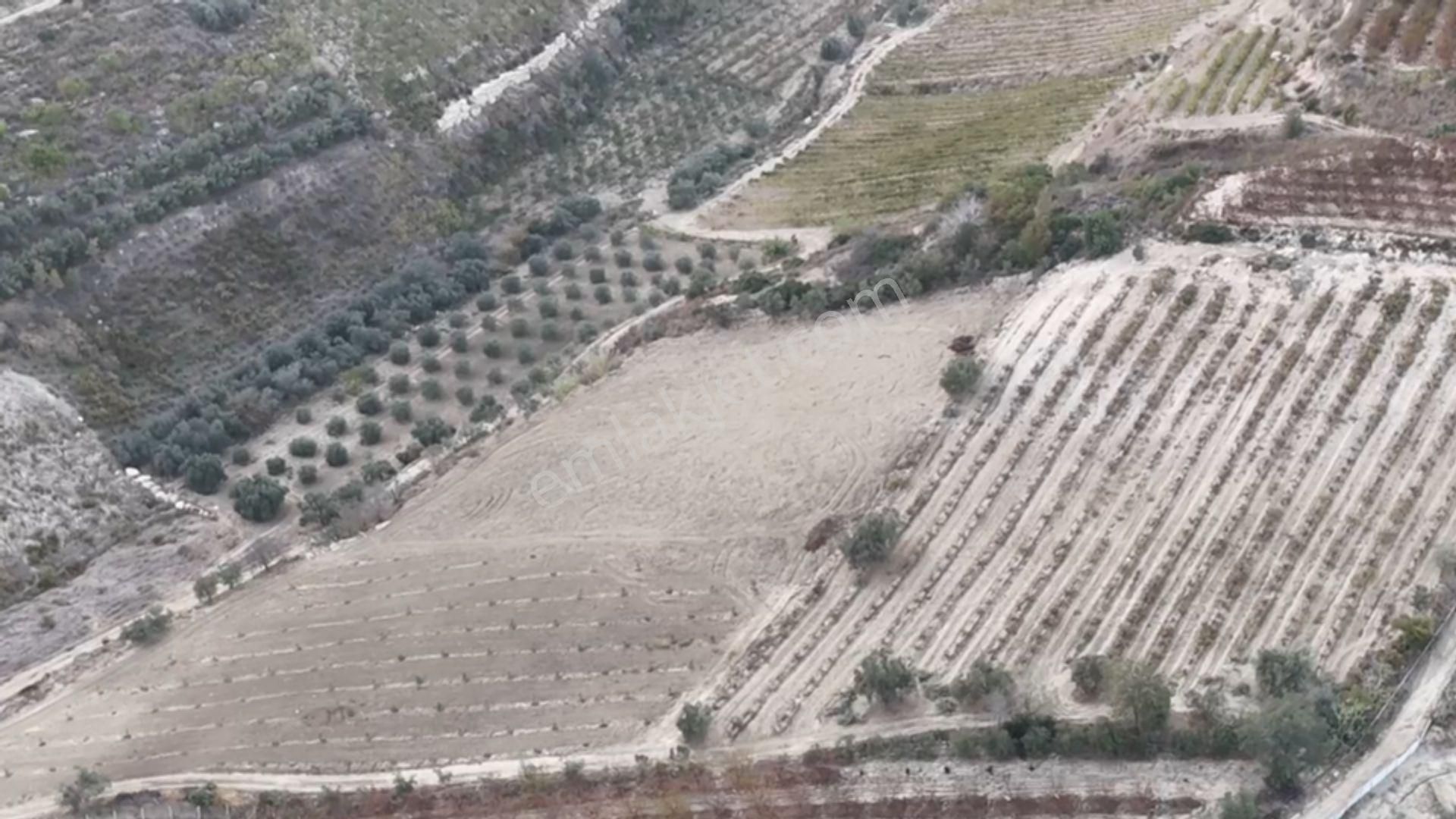 Ra Gayrimenkul Akdeniz İhsaniye Satılık Tarla - Görsel 5