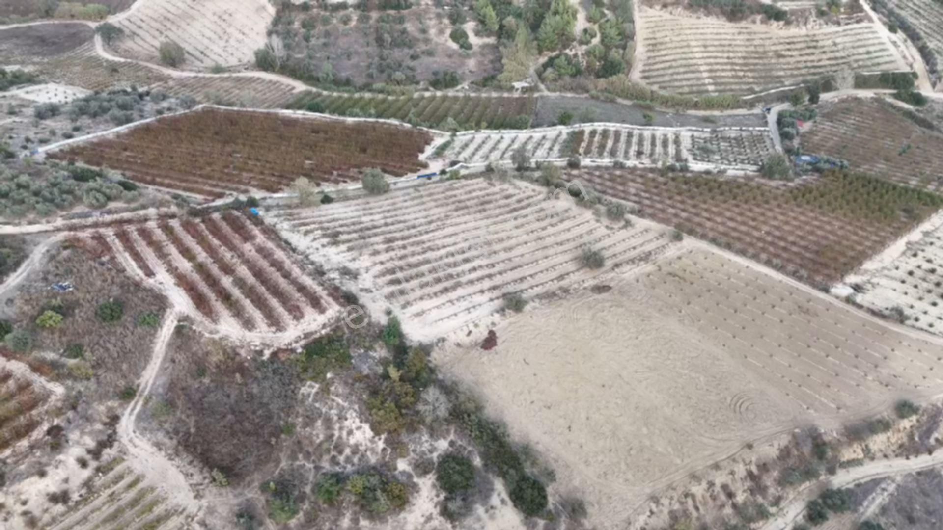 Ra Gayrimenkul Akdeniz İhsaniye Satılık Tarla - Görsel 4