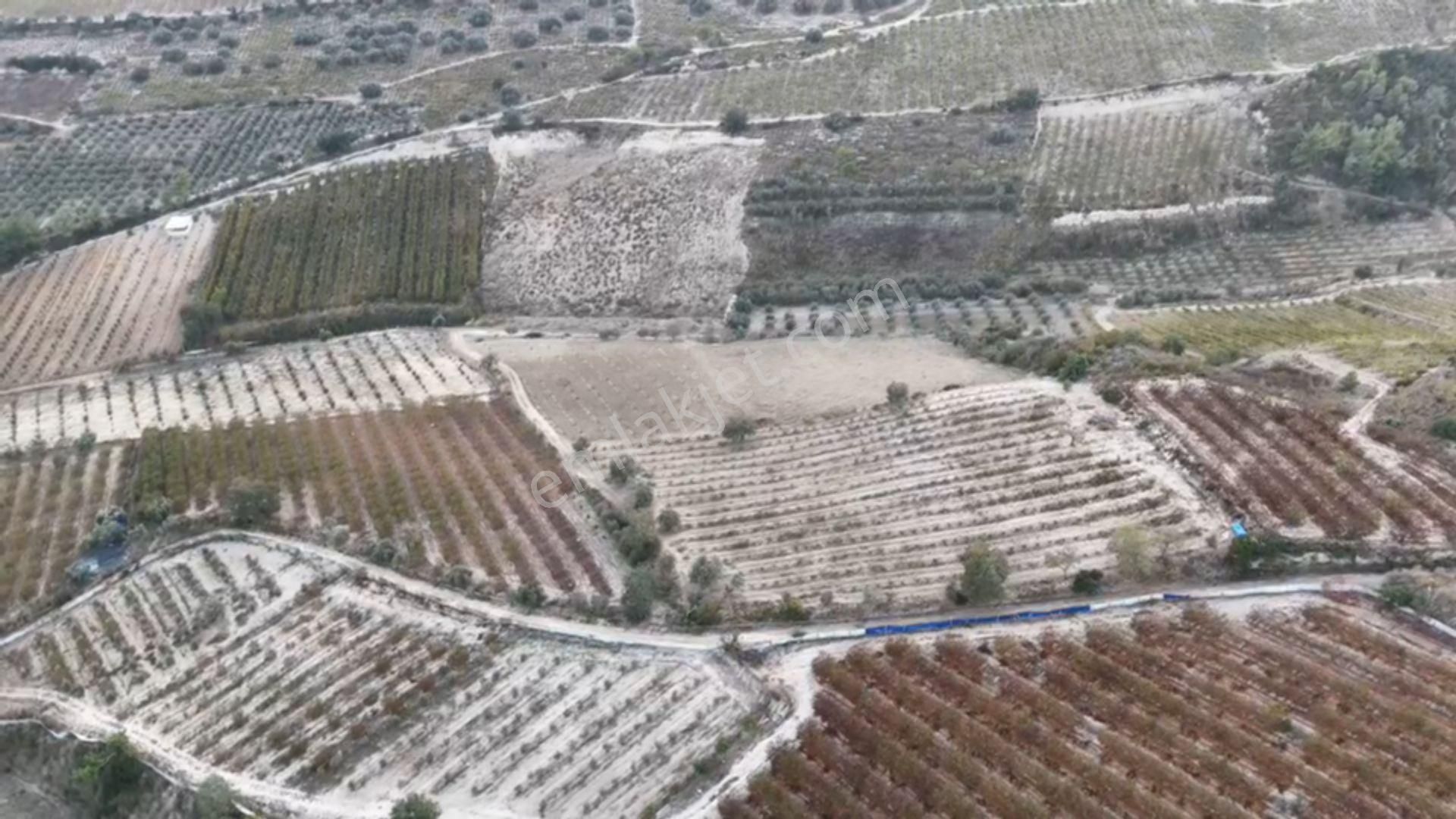 Ra Gayrimenkul Akdeniz İhsaniye Satılık Tarla - Görsel 3