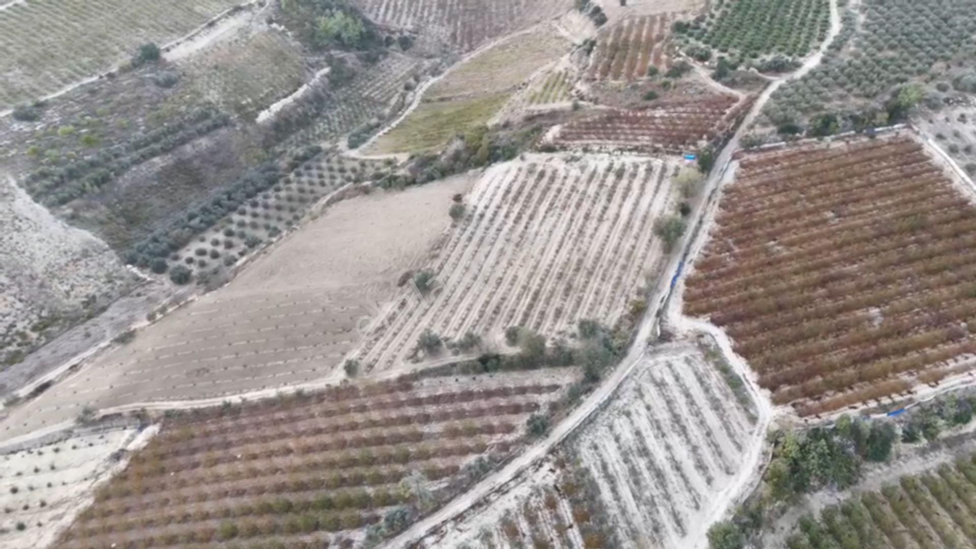 Ra Gayrimenkul Akdeniz İhsaniye Satılık Tarla