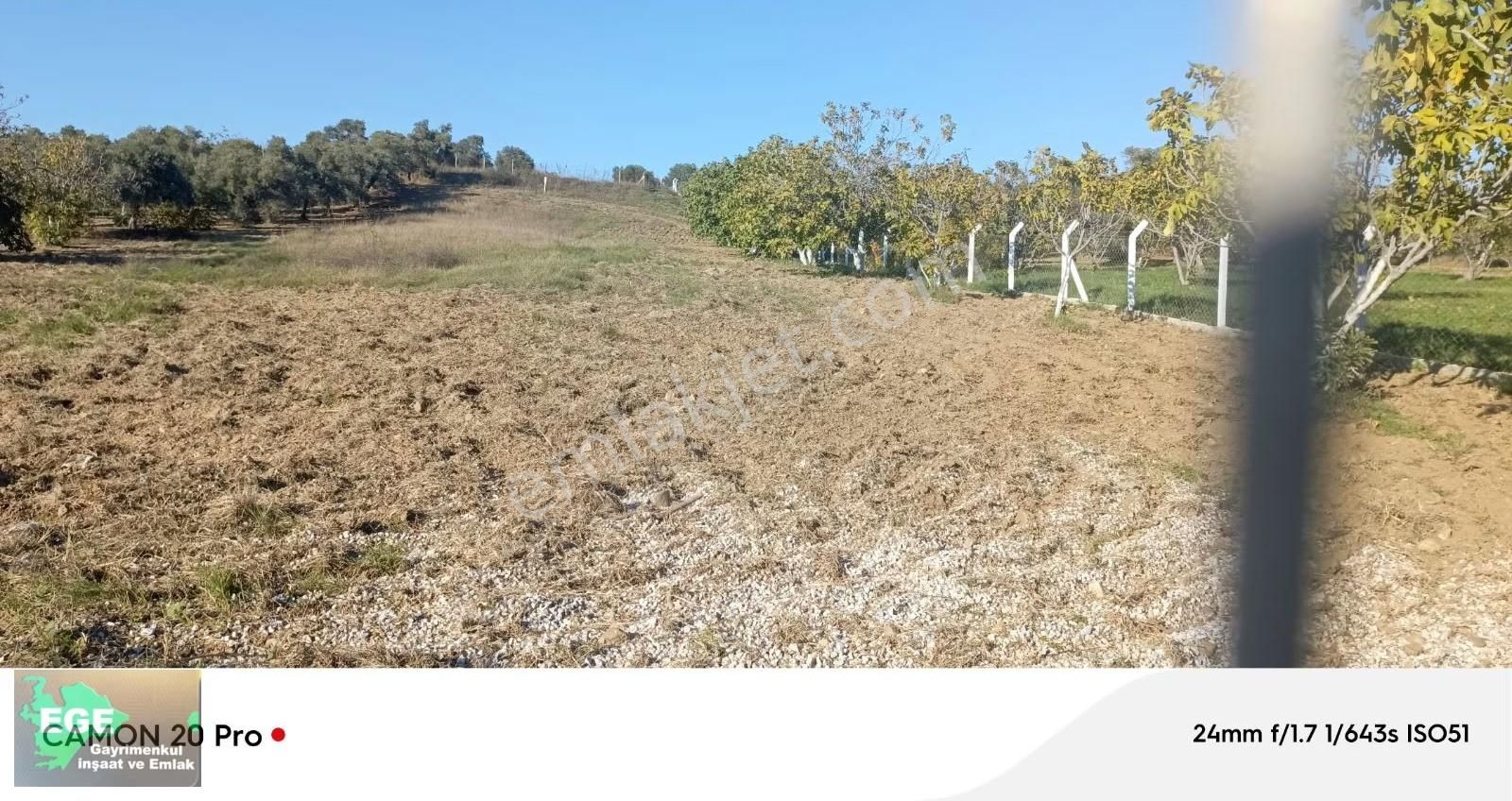 Ege Emlak Tan Germencik Te Satılık Muhteşem Bahçe - Görsel 12