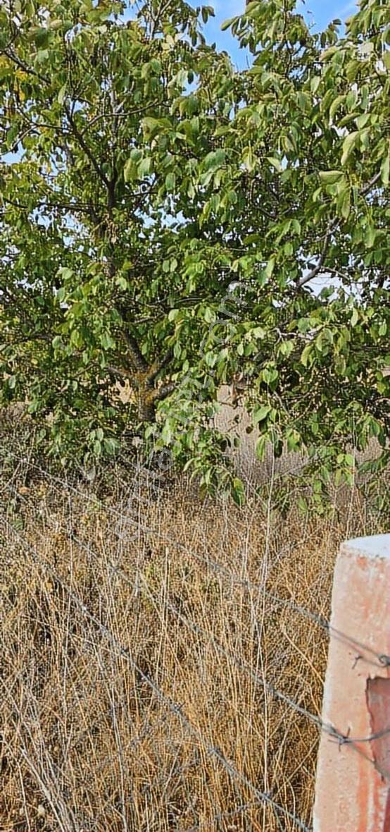 Ayverdi Emlak Dan Yola Cephe Hesaplı Arsa - Görsel 16