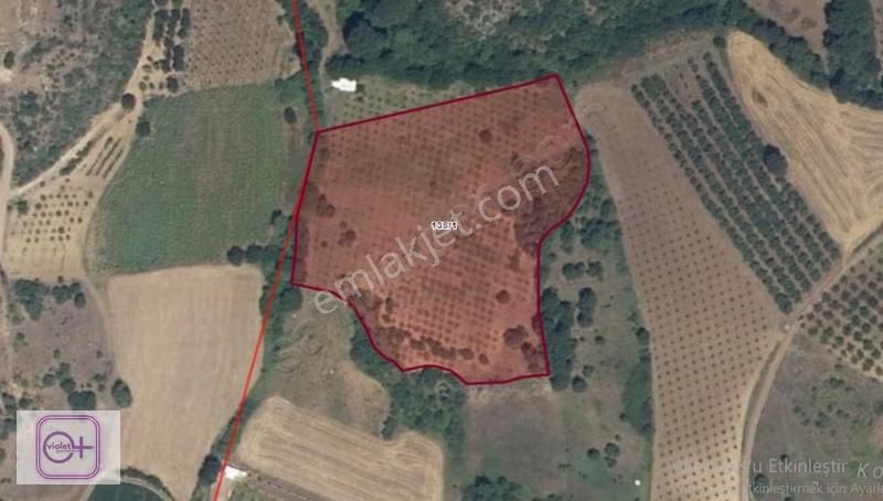 Violetten Bursa İnegöl Şehitler Satılık Tarla