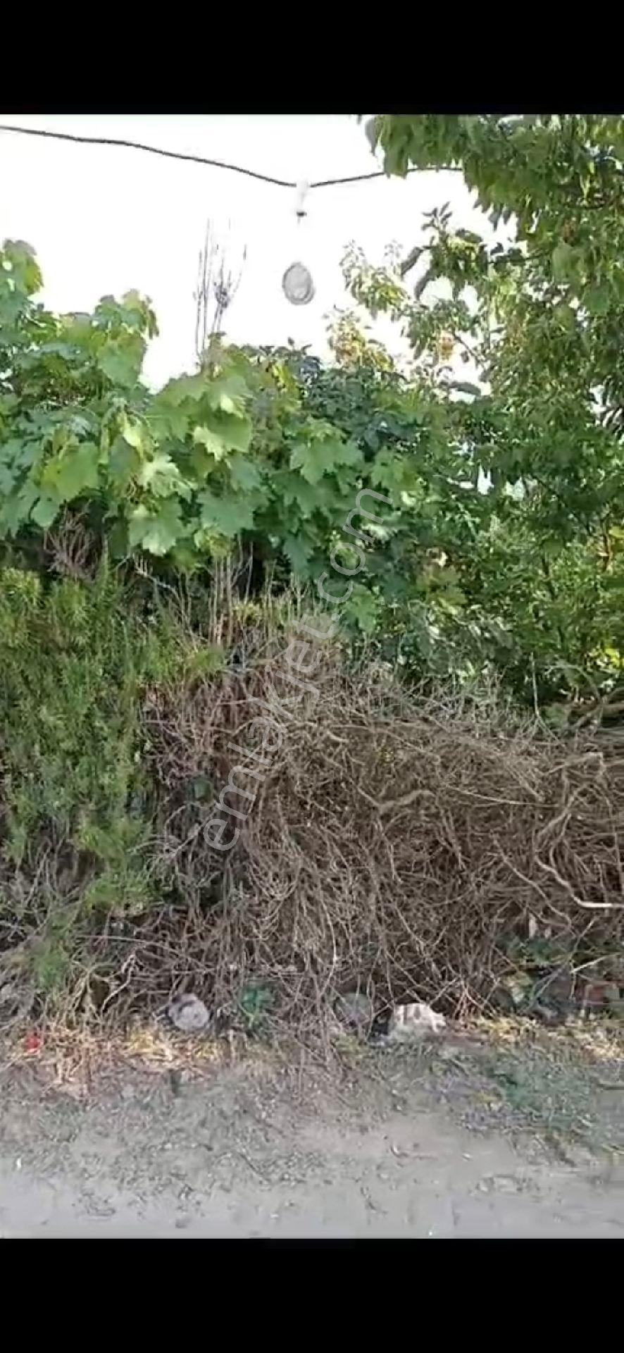 Manisa Merkez Üçpınar Köy İçi//420m2 Arsa İçinde Eski Tekkatlı Bahçeli//uygunfiyata Satılık Ev - Görsel 8