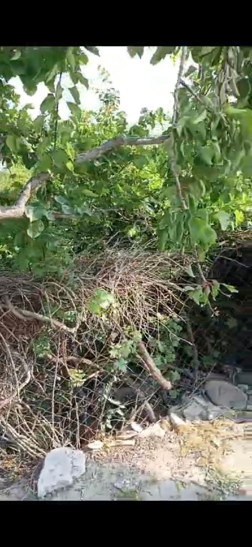 Manisa Merkez Üçpınar Köy İçi//420m2 Arsa İçinde Eski Tekkatlı Bahçeli//uygunfiyata Satılık Ev - Görsel 7