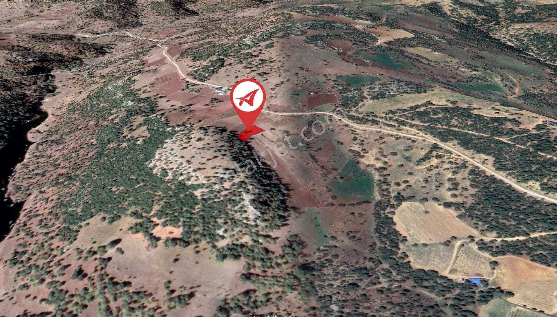 Afyonkarahisar Başmakçı Çığrı Satılık 1326m2 Gül Bahçesi - Görsel 4